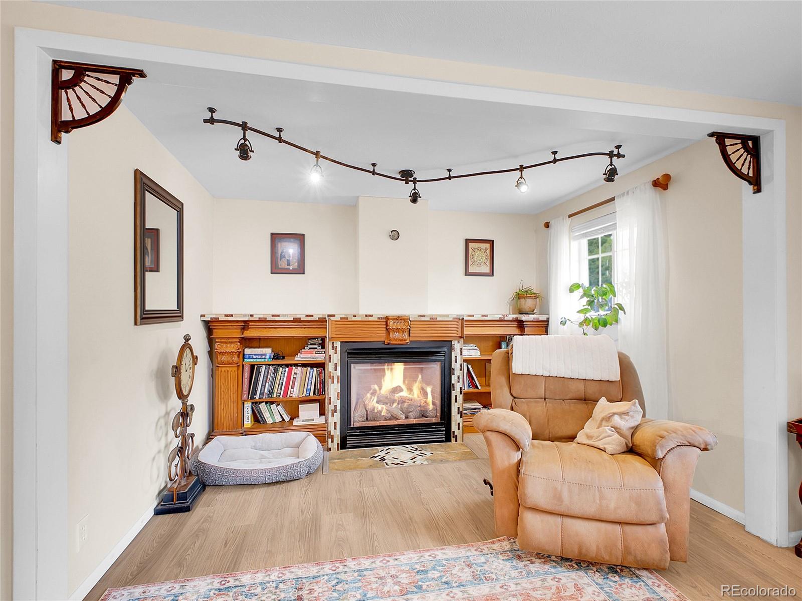 MLS Image #8 for 194  tincup terrace,bailey, Colorado