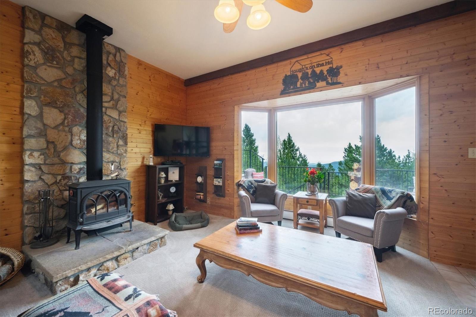 MLS Image #15 for 11094  thomas drive,conifer, Colorado