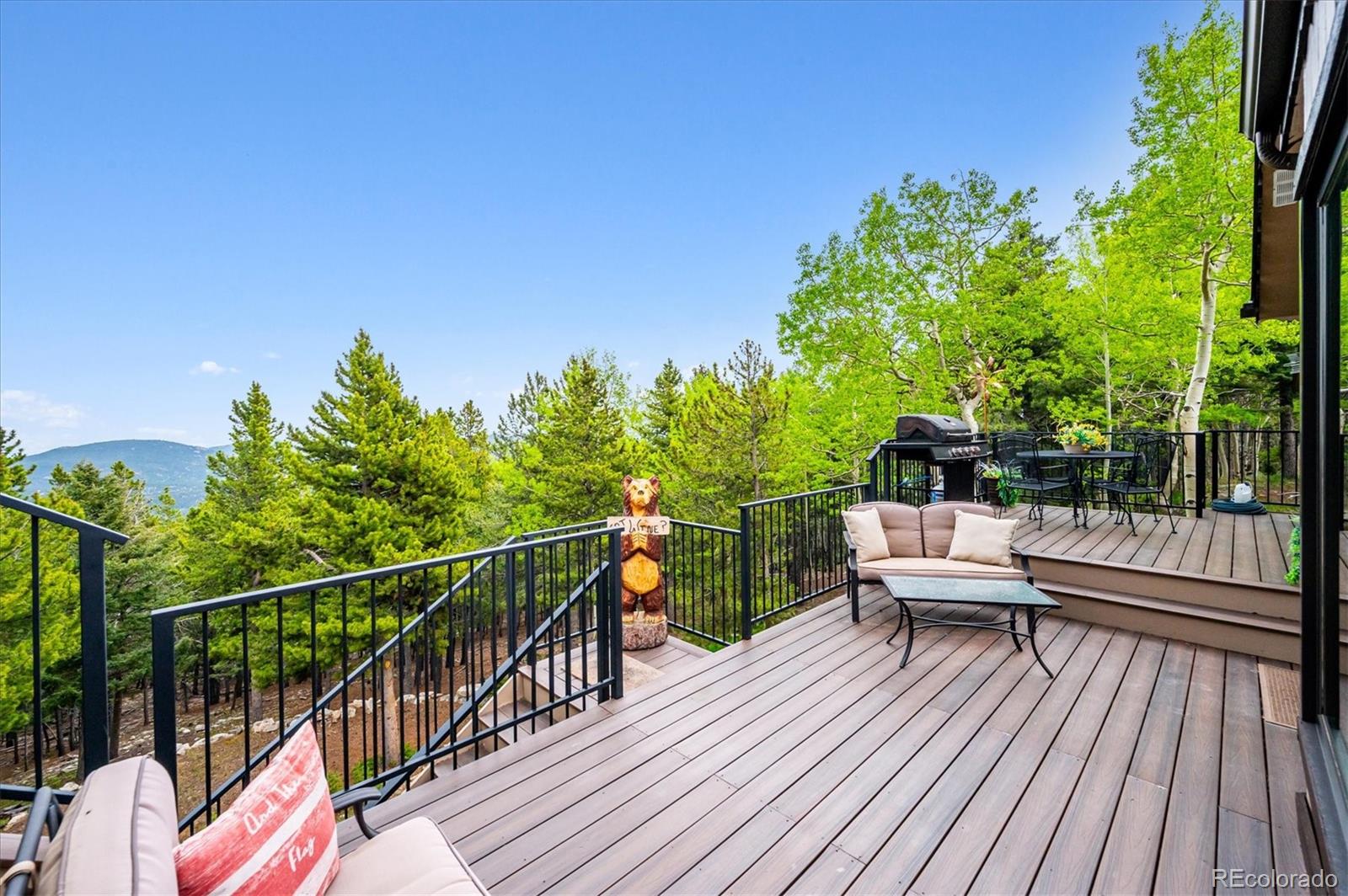 MLS Image #7 for 11094  thomas drive,conifer, Colorado