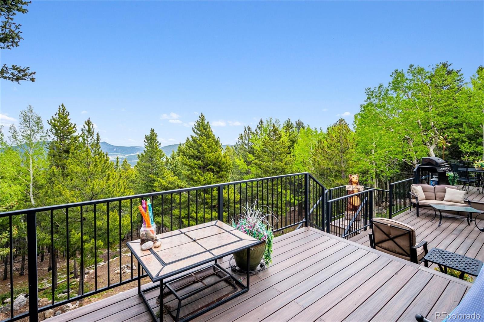 MLS Image #8 for 11094  thomas drive,conifer, Colorado