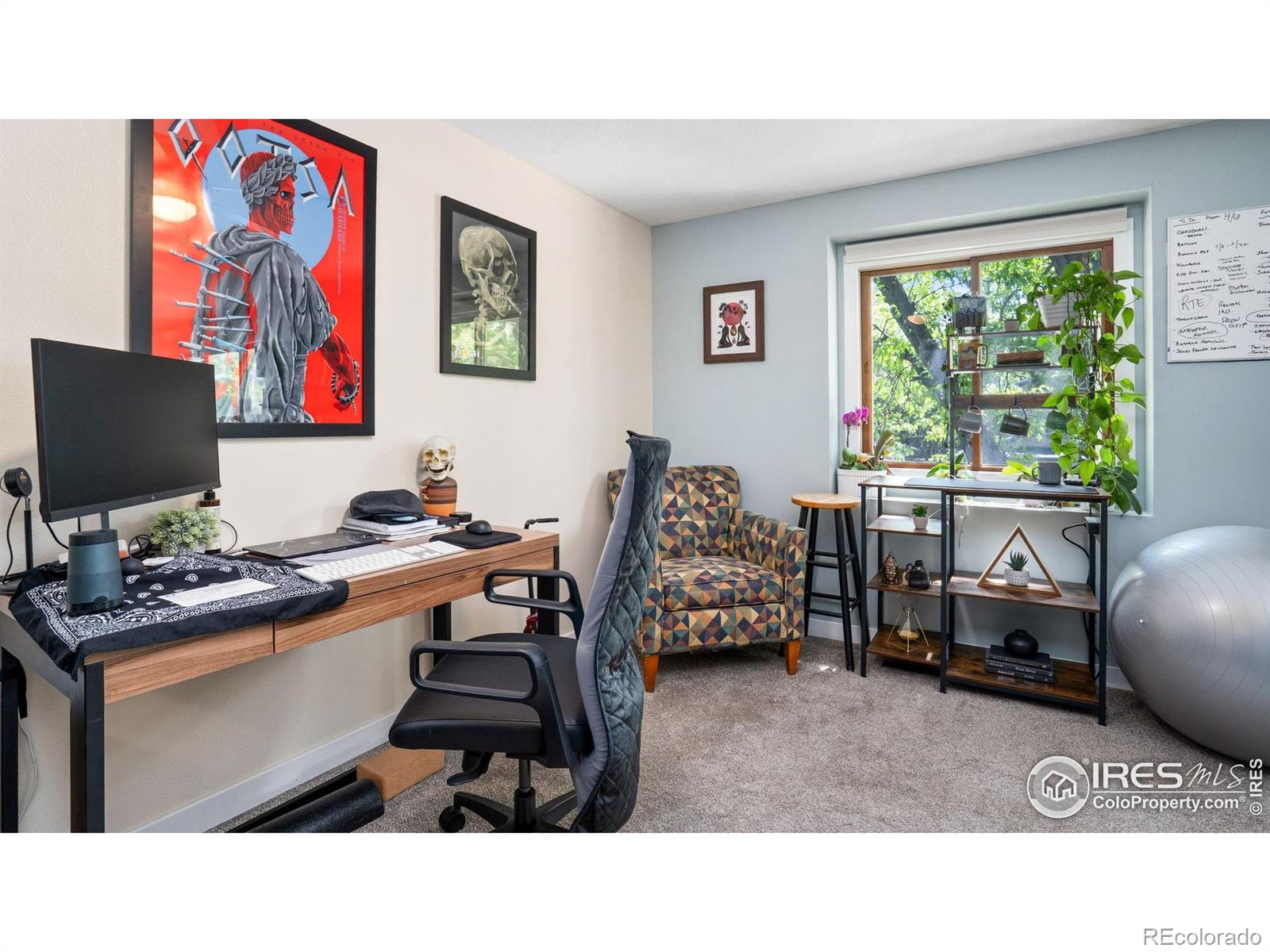 MLS Image #10 for 3413  thames court,fort collins, Colorado