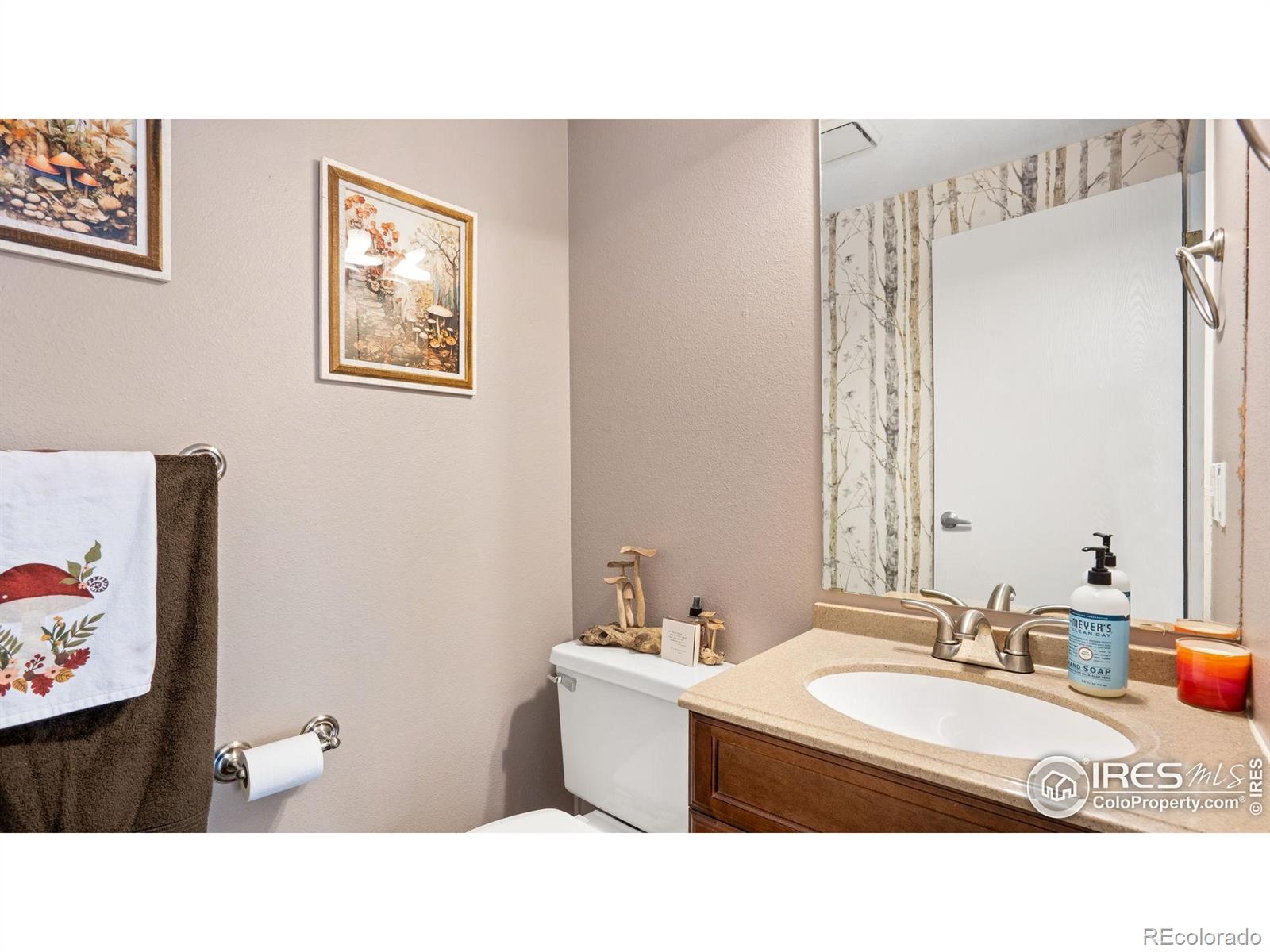 MLS Image #16 for 3413  thames court,fort collins, Colorado