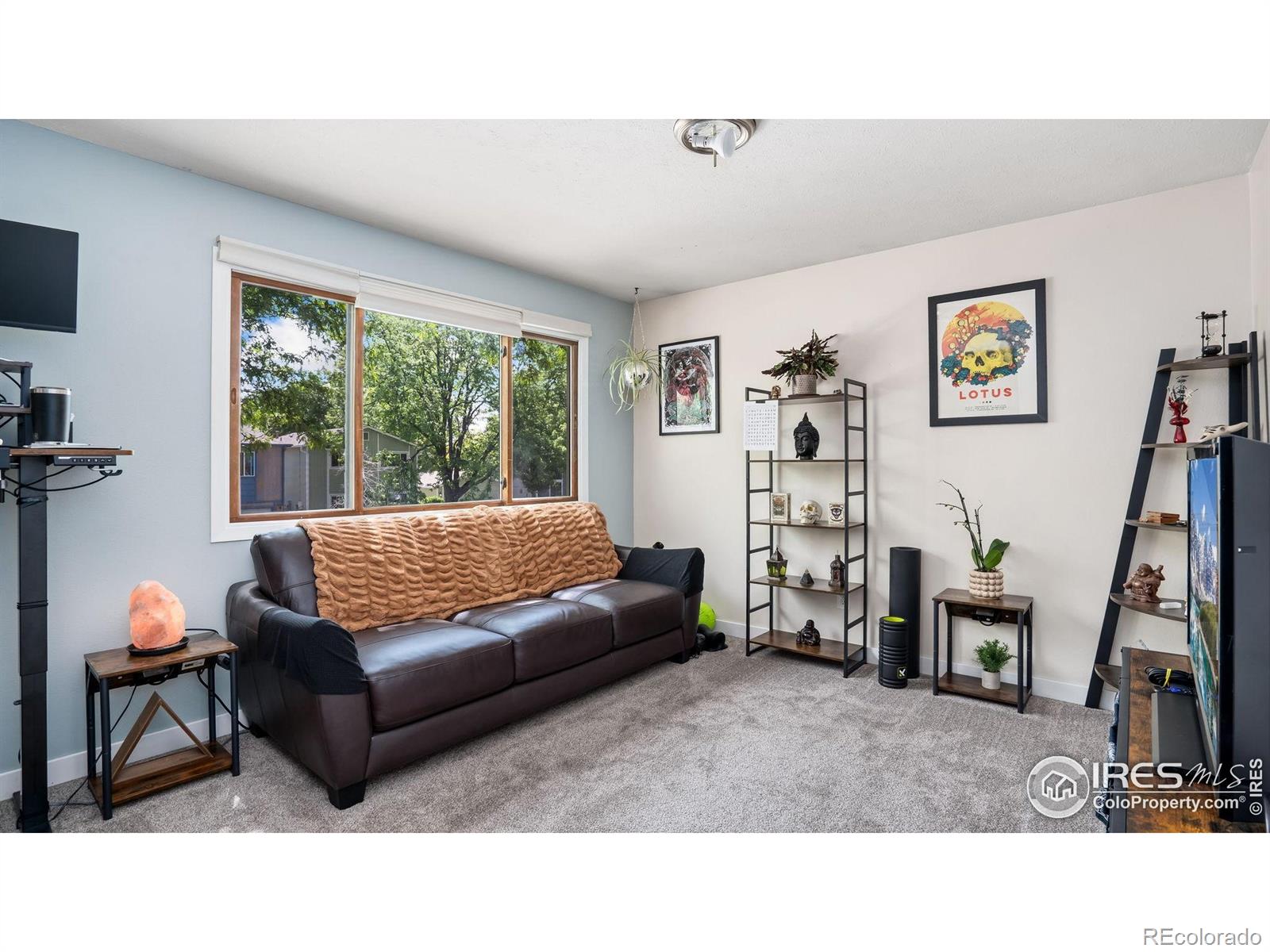 MLS Image #8 for 3413  thames court,fort collins, Colorado