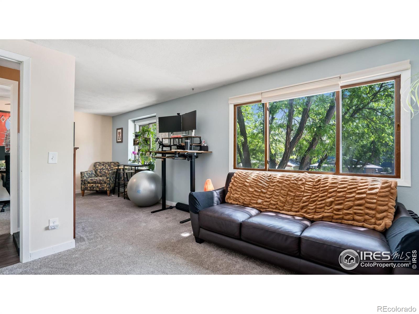 MLS Image #9 for 3413  thames court,fort collins, Colorado