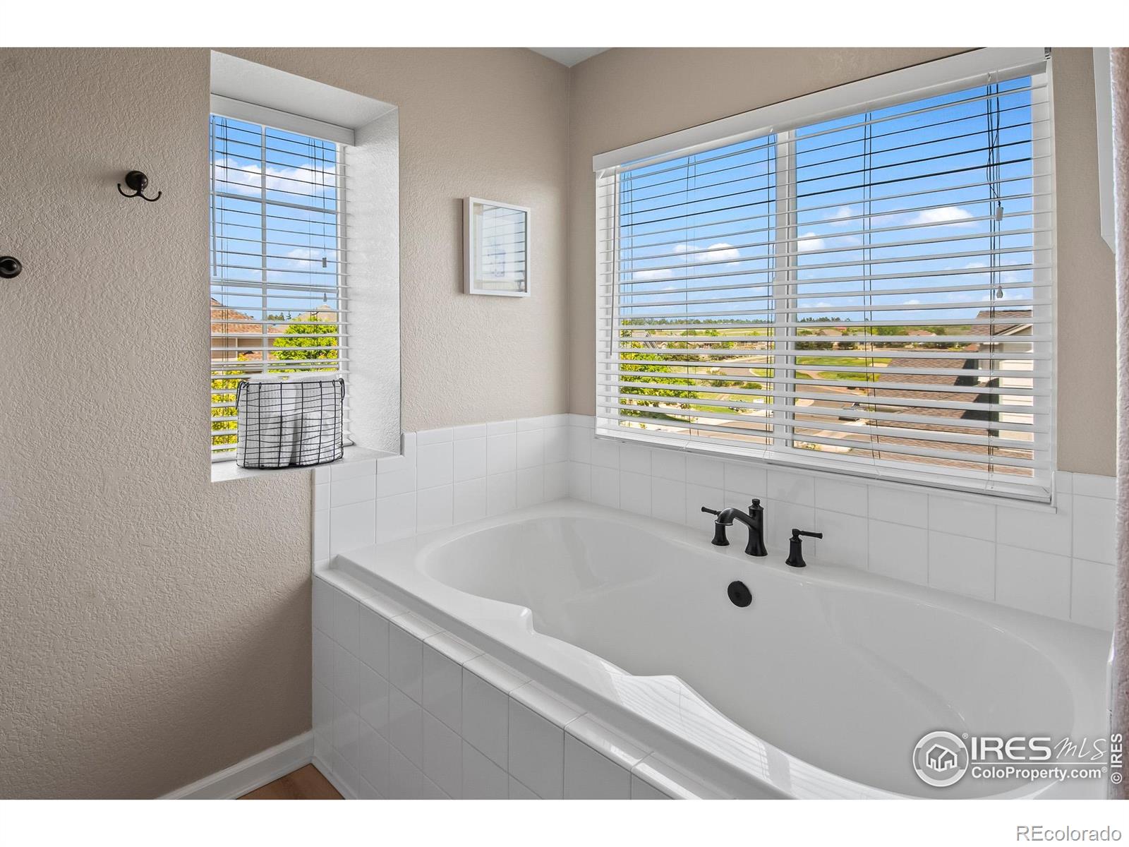 MLS Image #21 for 23570 e holly hills way,parker, Colorado