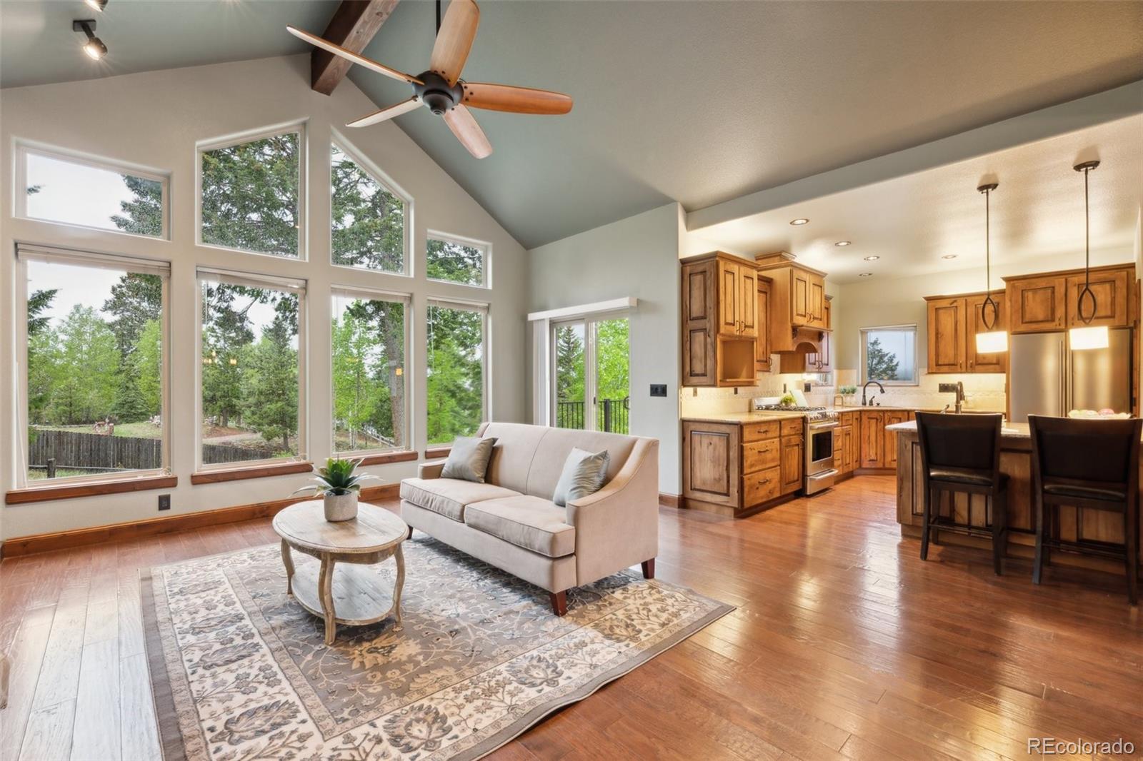MLS Image #12 for 491  skyline drive,woodland park, Colorado