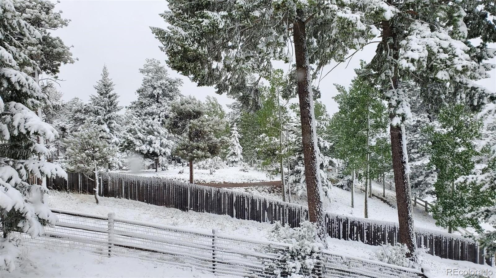 MLS Image #38 for 491  skyline drive,woodland park, Colorado