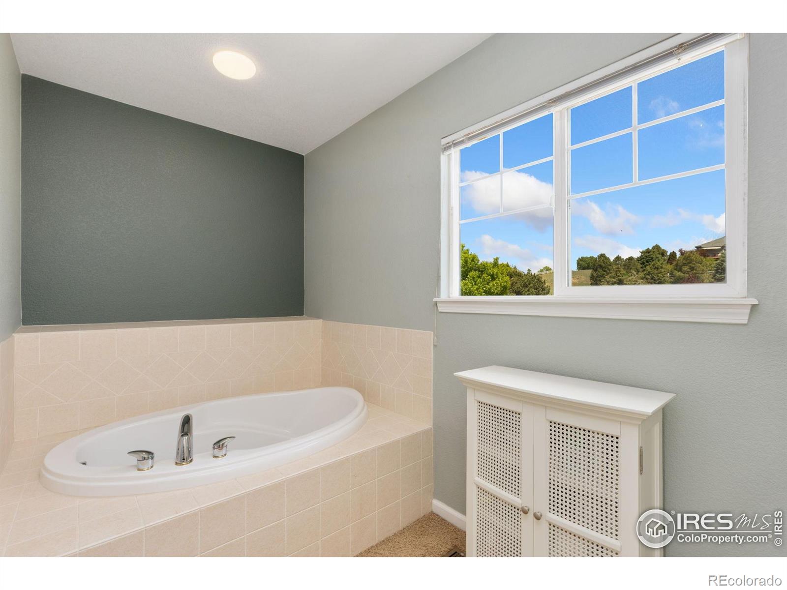 MLS Image #23 for 10970 e 150th place,brighton, Colorado