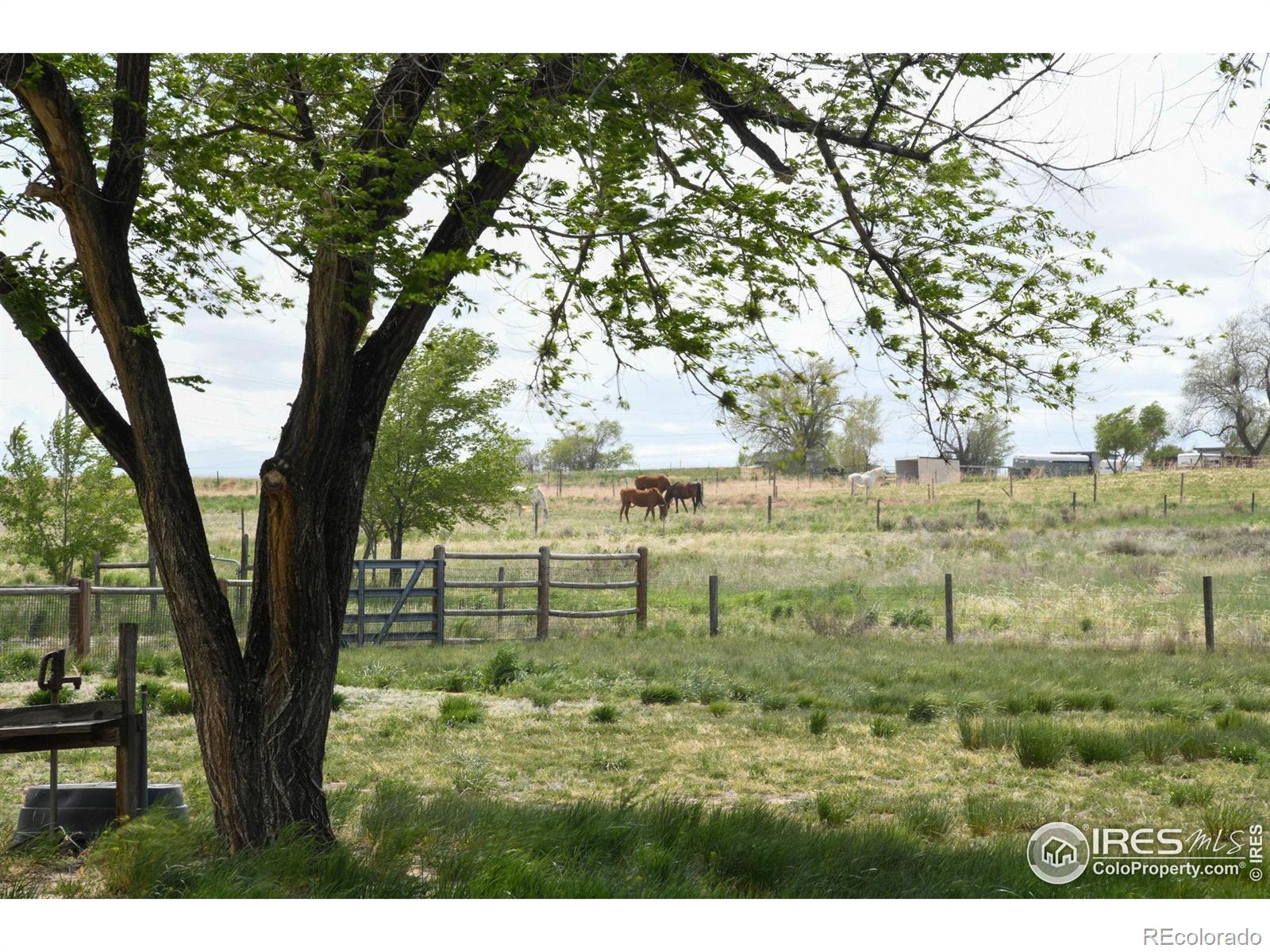 MLS Image #28 for 2091  tate avenue,fort lupton, Colorado