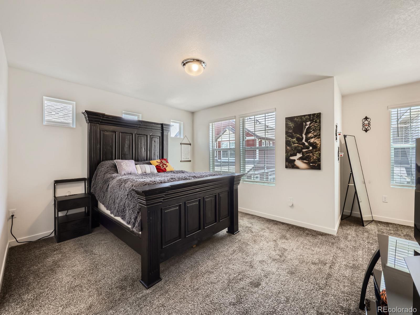 MLS Image #7 for 9237  delgany point,colorado springs, Colorado