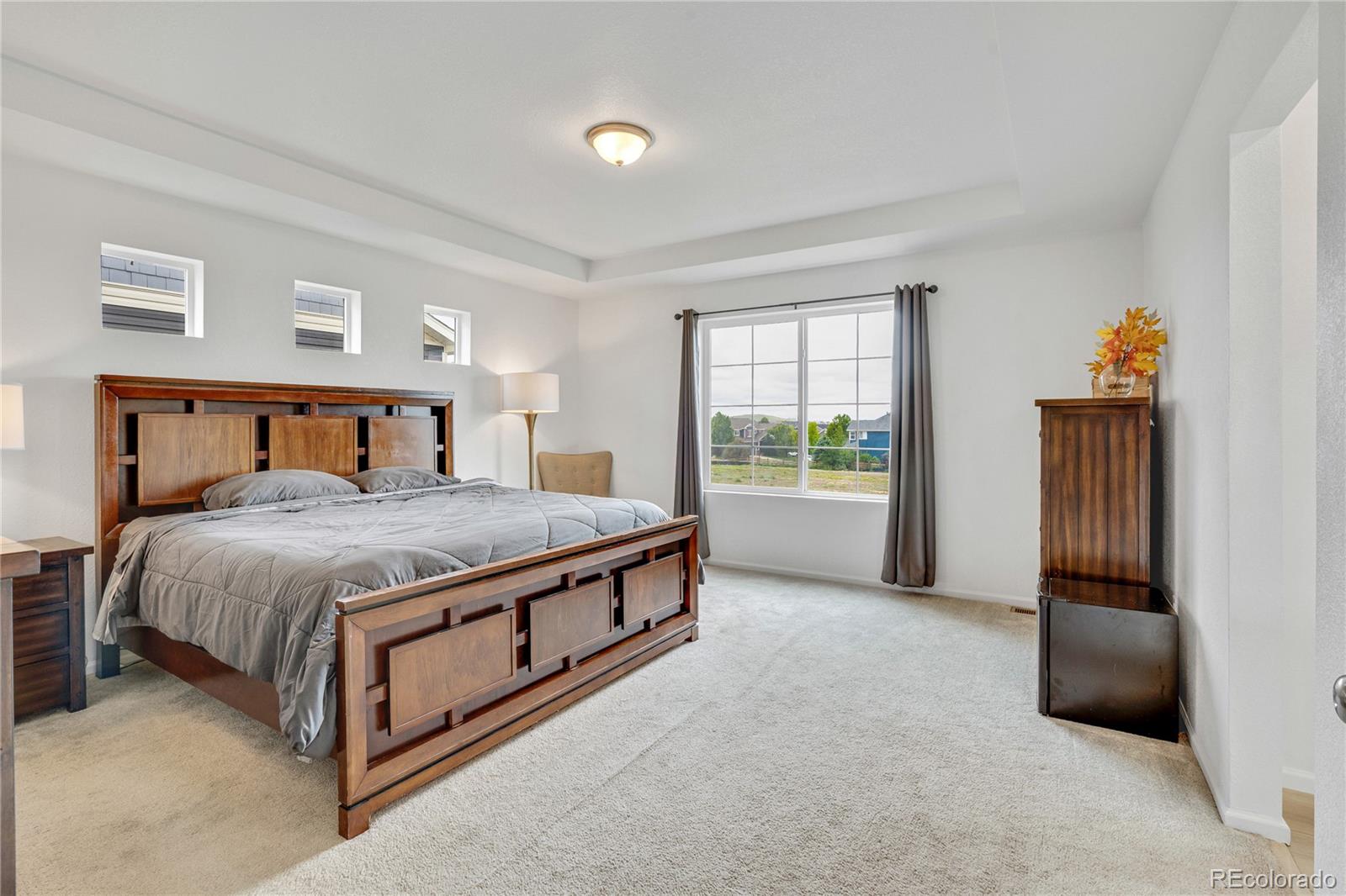 MLS Image #21 for 17276 e 103rd avenue,commerce city, Colorado