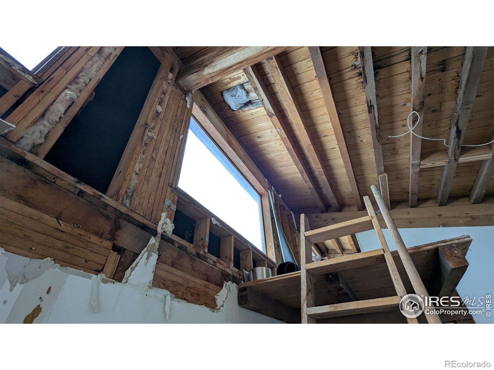 MLS Image #10 for 4633  canyon view drive,fort collins, Colorado