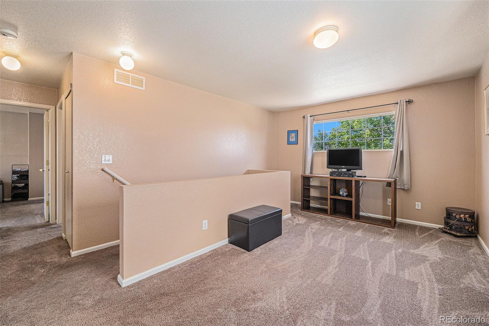 MLS Image #13 for 4076  andes way,denver, Colorado