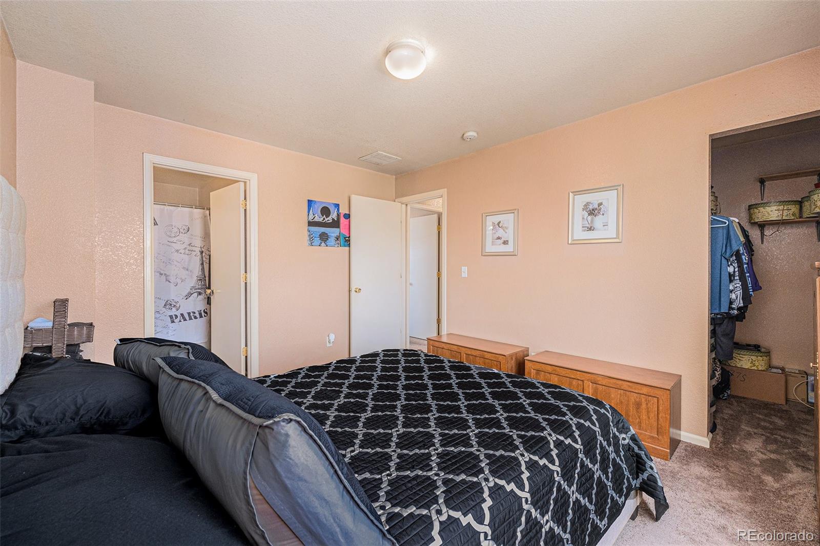 MLS Image #17 for 4076  andes way,denver, Colorado