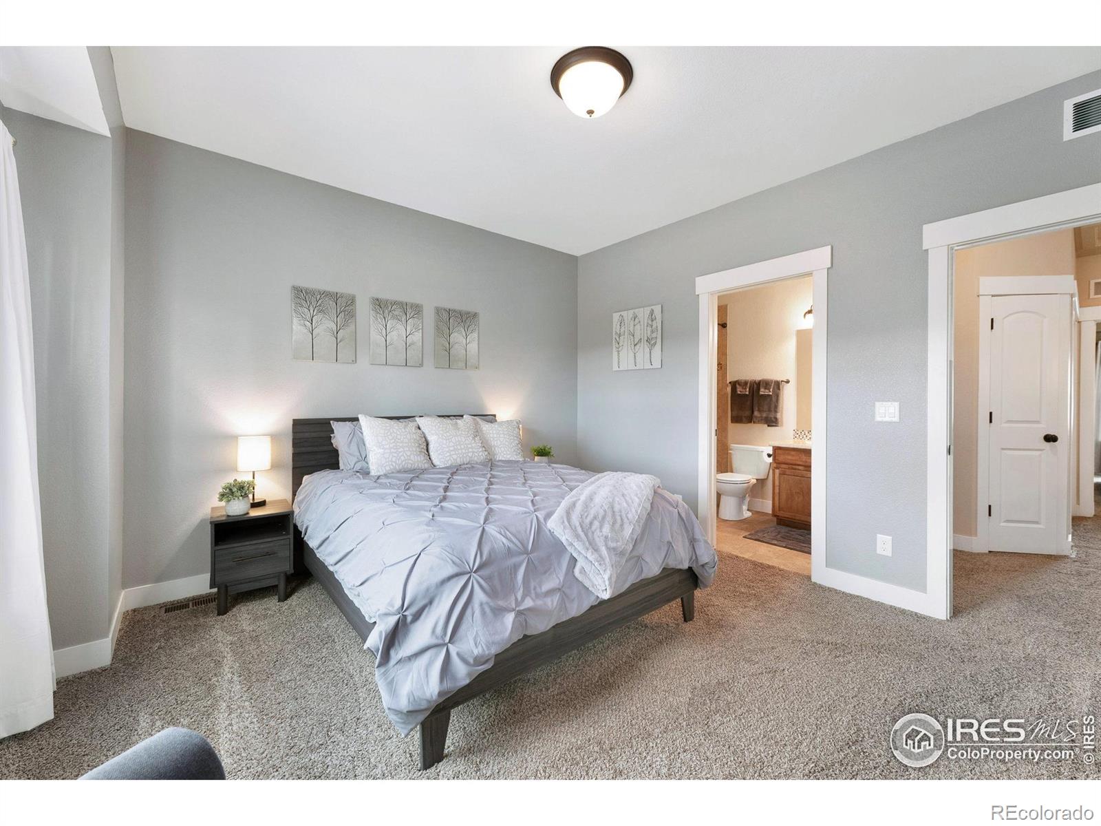 MLS Image #18 for 5020  cinquefoil lane,fort collins, Colorado