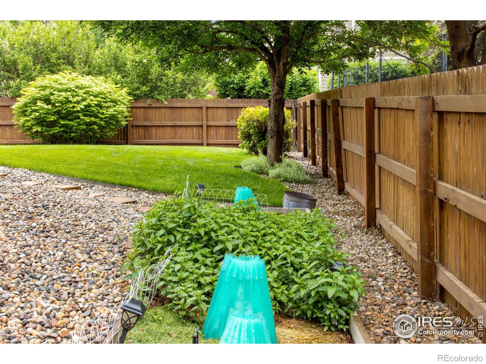 MLS Image #28 for 84  plover way,johnstown, Colorado