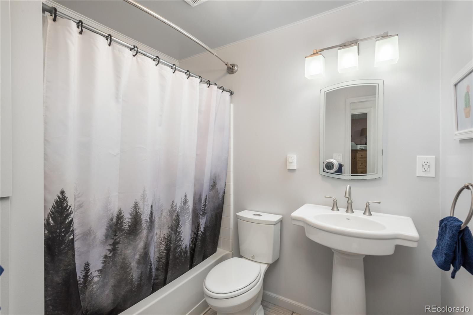 MLS Image #11 for 33589  robin court,elizabeth, Colorado