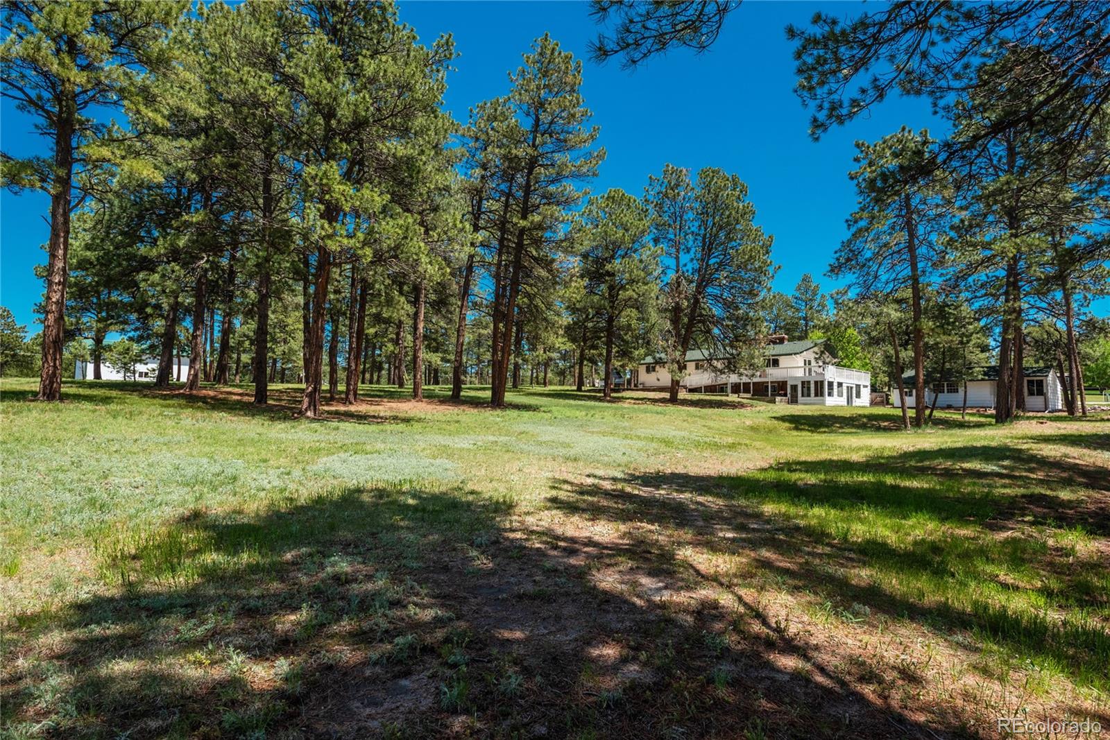 MLS Image #27 for 33589  robin court,elizabeth, Colorado