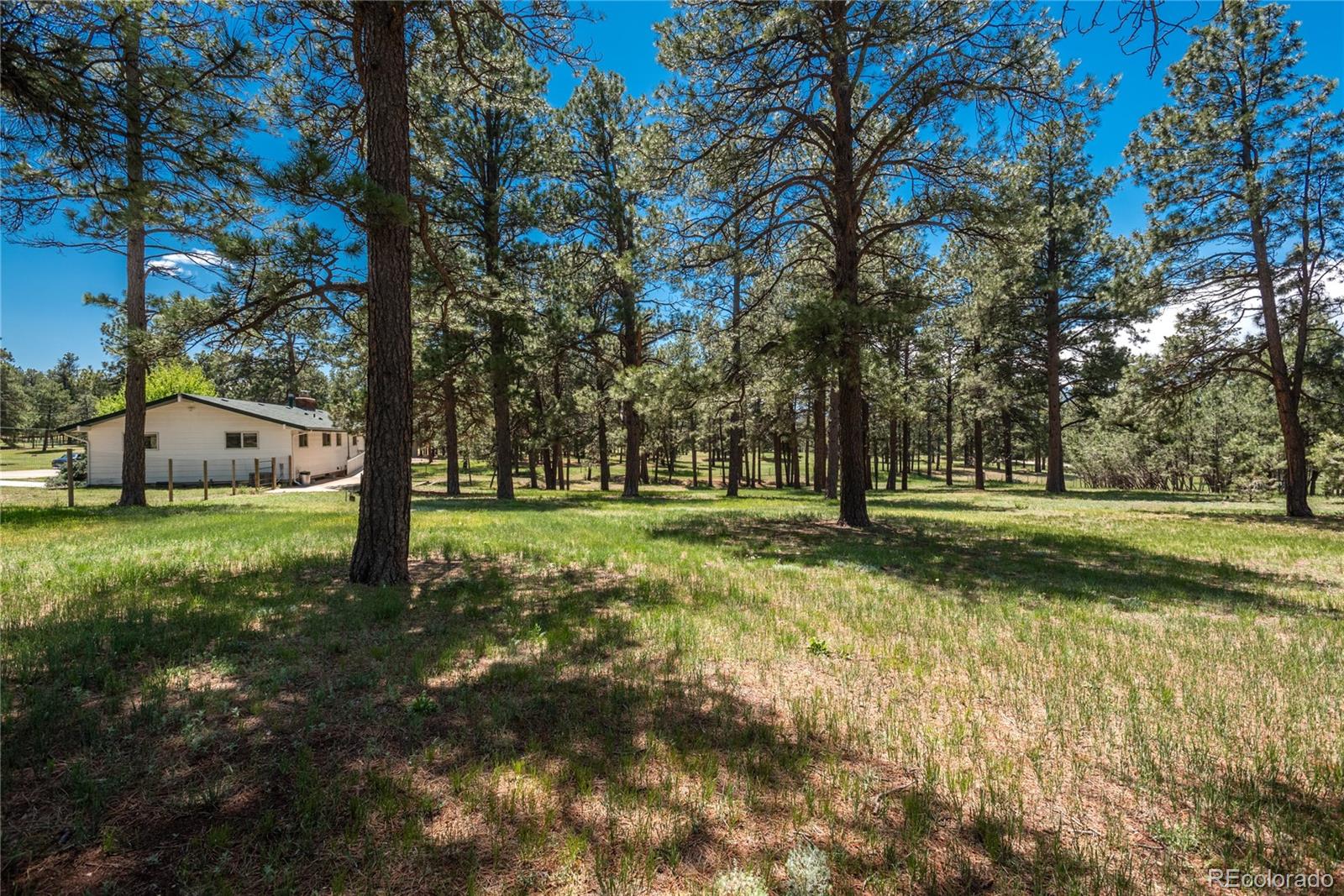 MLS Image #32 for 33589  robin court,elizabeth, Colorado