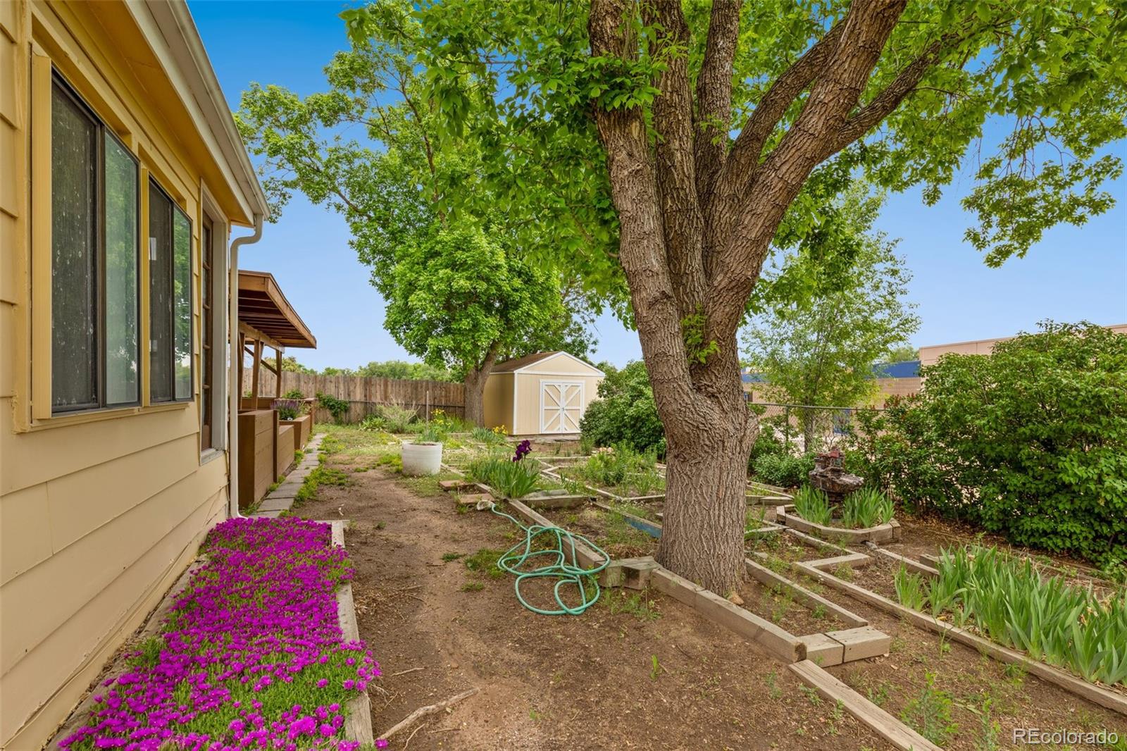 MLS Image #5 for 4139  morley circle,colorado springs, Colorado