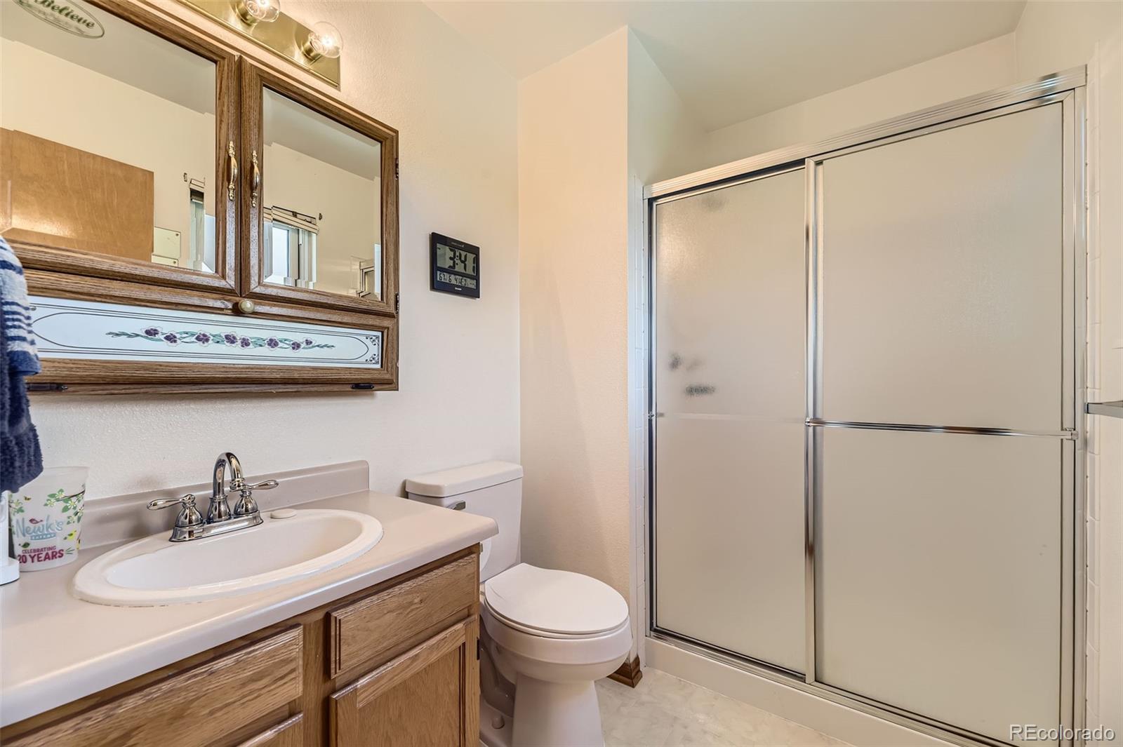 MLS Image #13 for 5713  whitechapel street,castle rock, Colorado