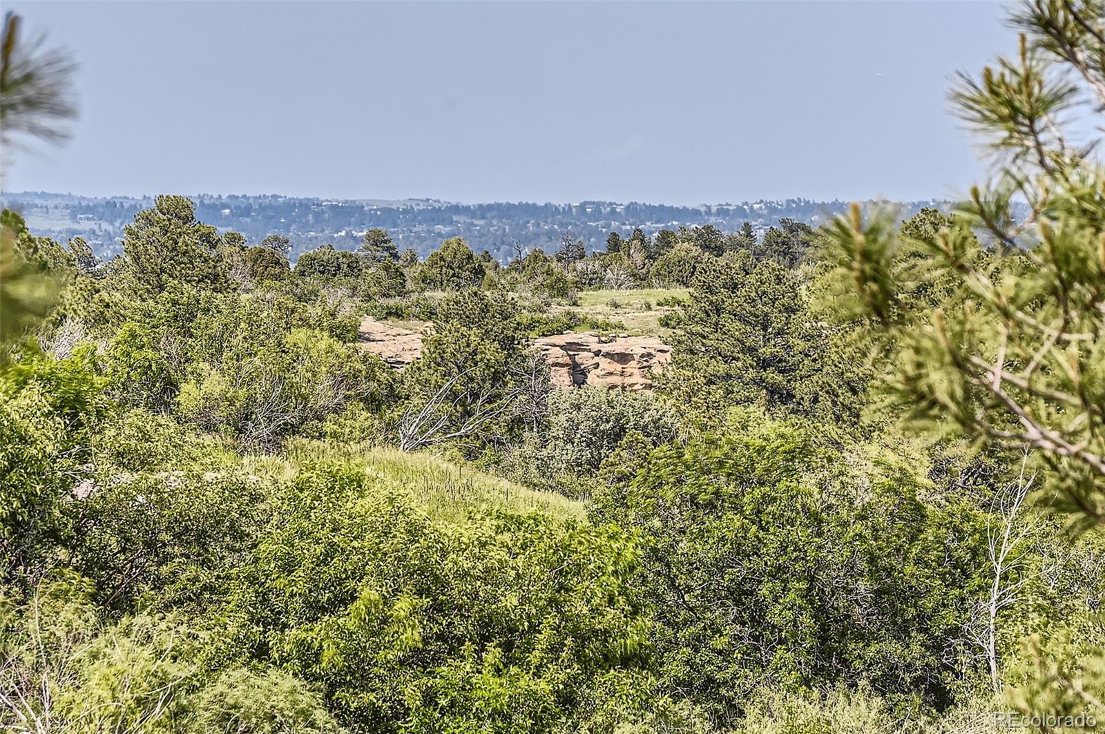 MLS Image #25 for 5713  whitechapel street,castle rock, Colorado