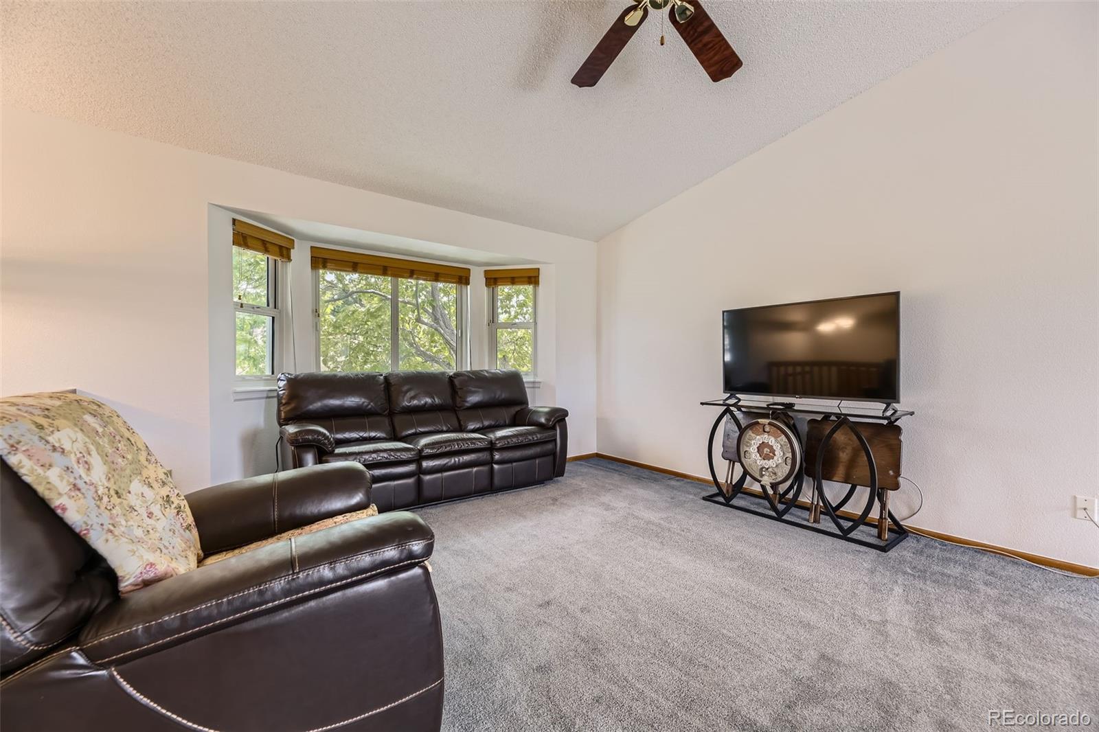 MLS Image #4 for 5713  whitechapel street,castle rock, Colorado
