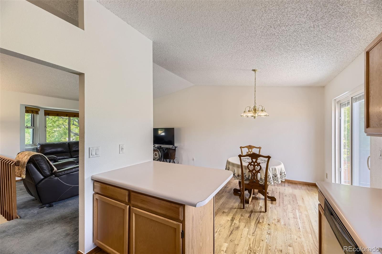 MLS Image #8 for 5713  whitechapel street,castle rock, Colorado