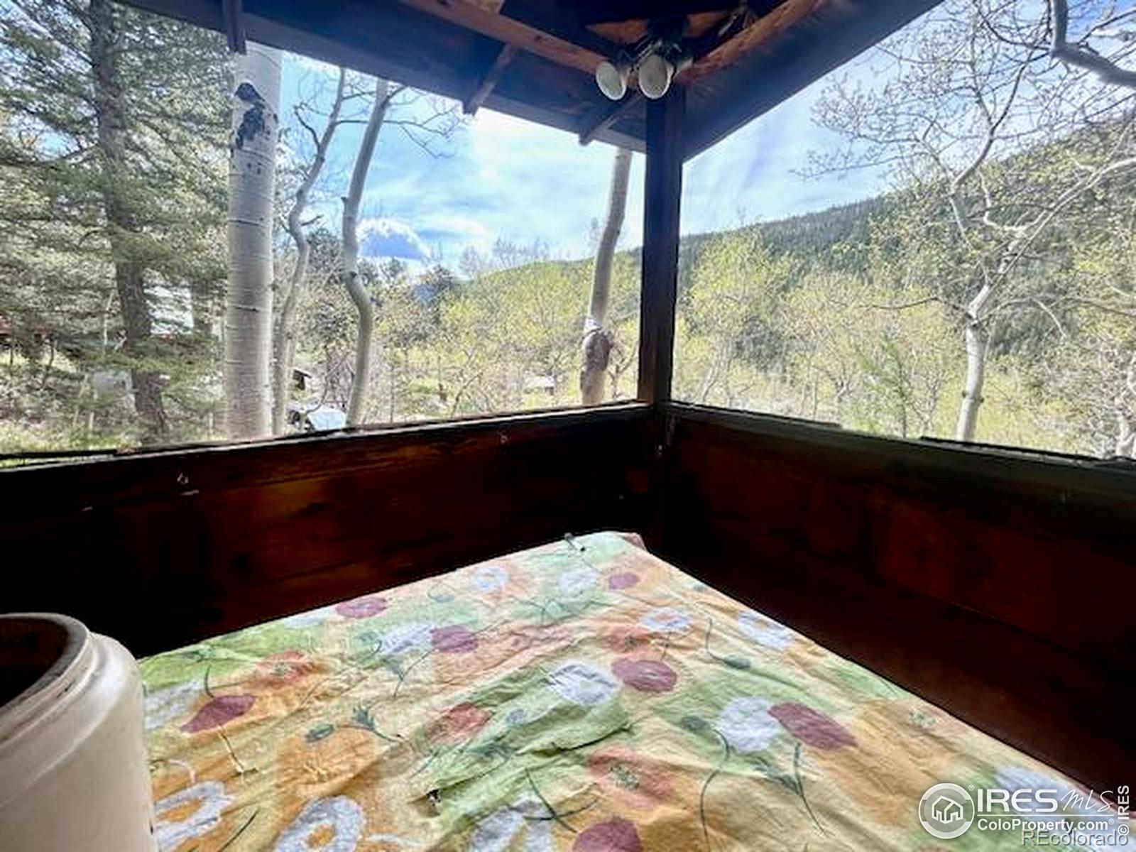 MLS Image #10 for 585  washington avenue,nederland, Colorado