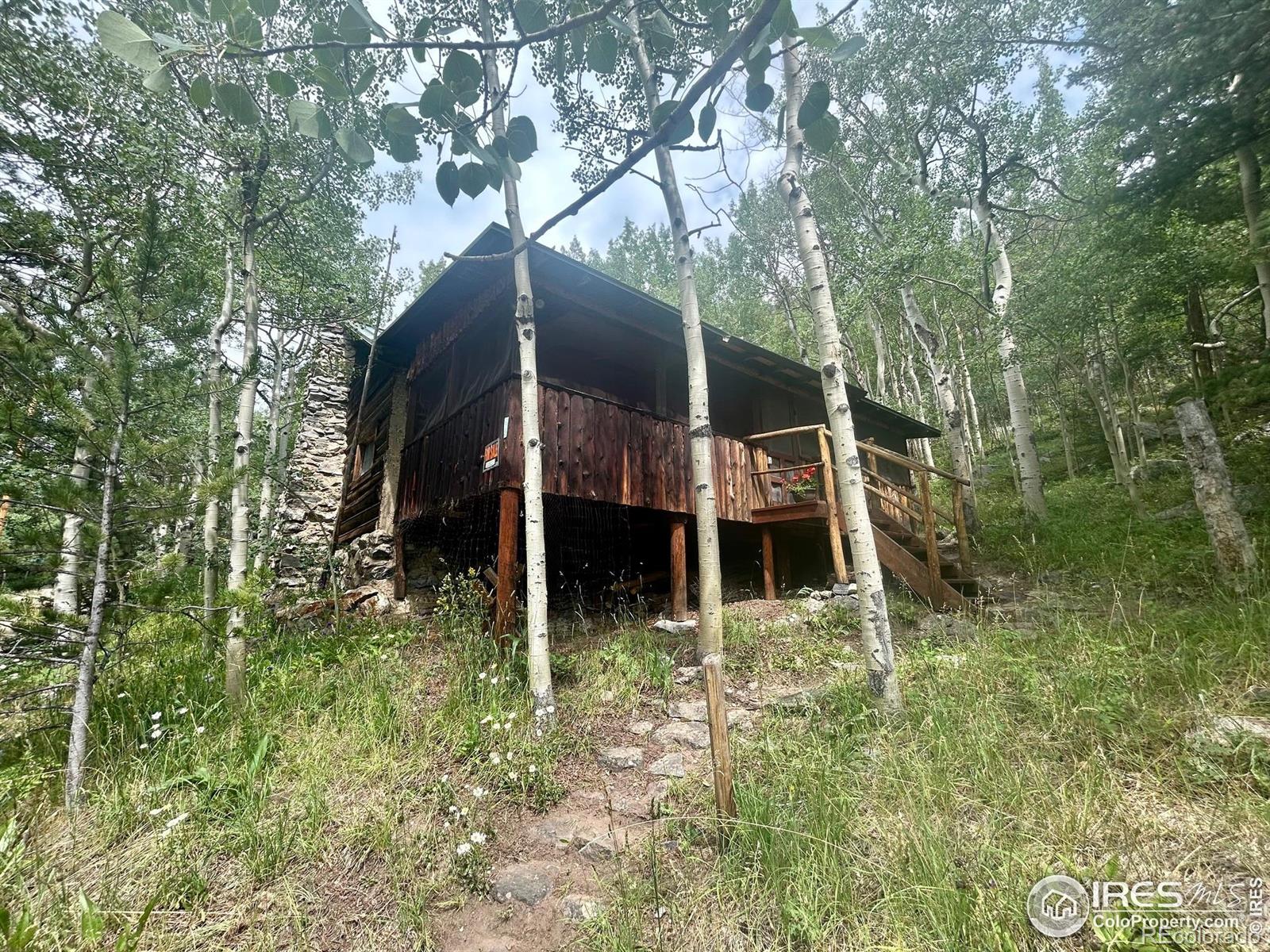 MLS Image #18 for 585  washington avenue,nederland, Colorado