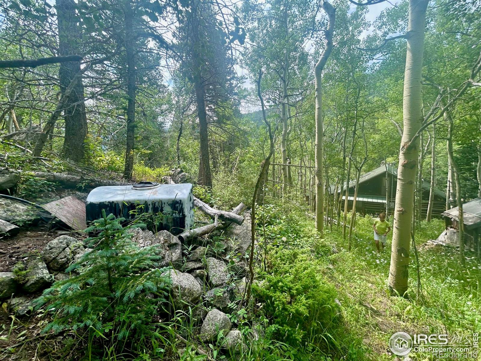 MLS Image #20 for 585  washington avenue,nederland, Colorado