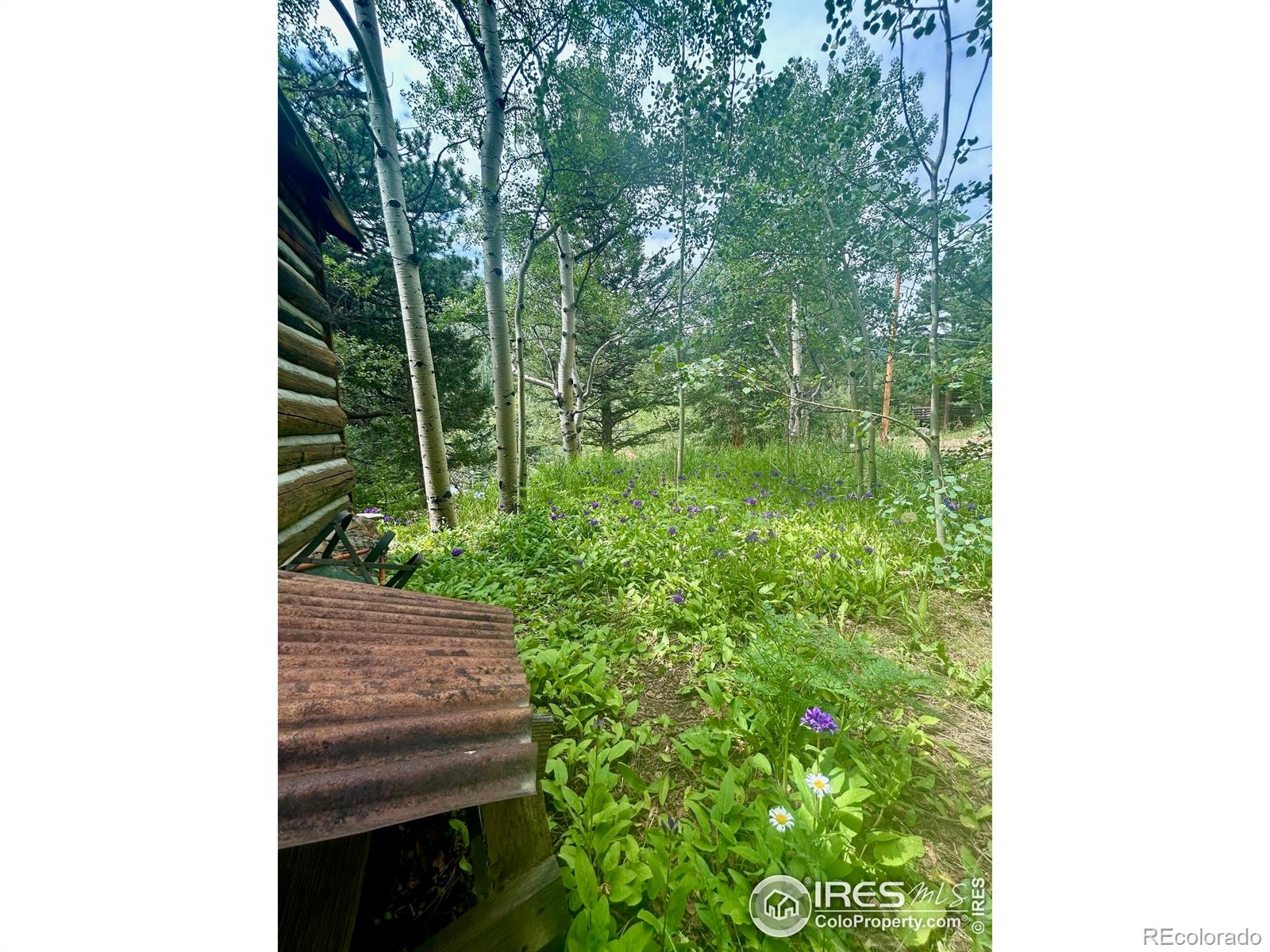 MLS Image #21 for 585  washington avenue,nederland, Colorado