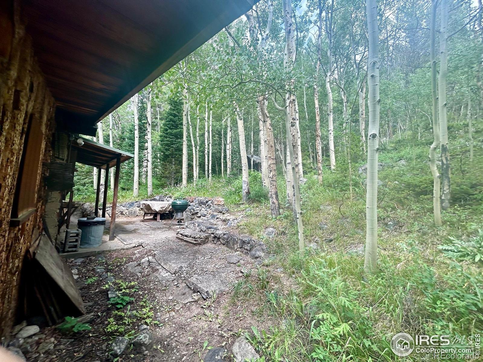 MLS Image #22 for 585  washington avenue,nederland, Colorado