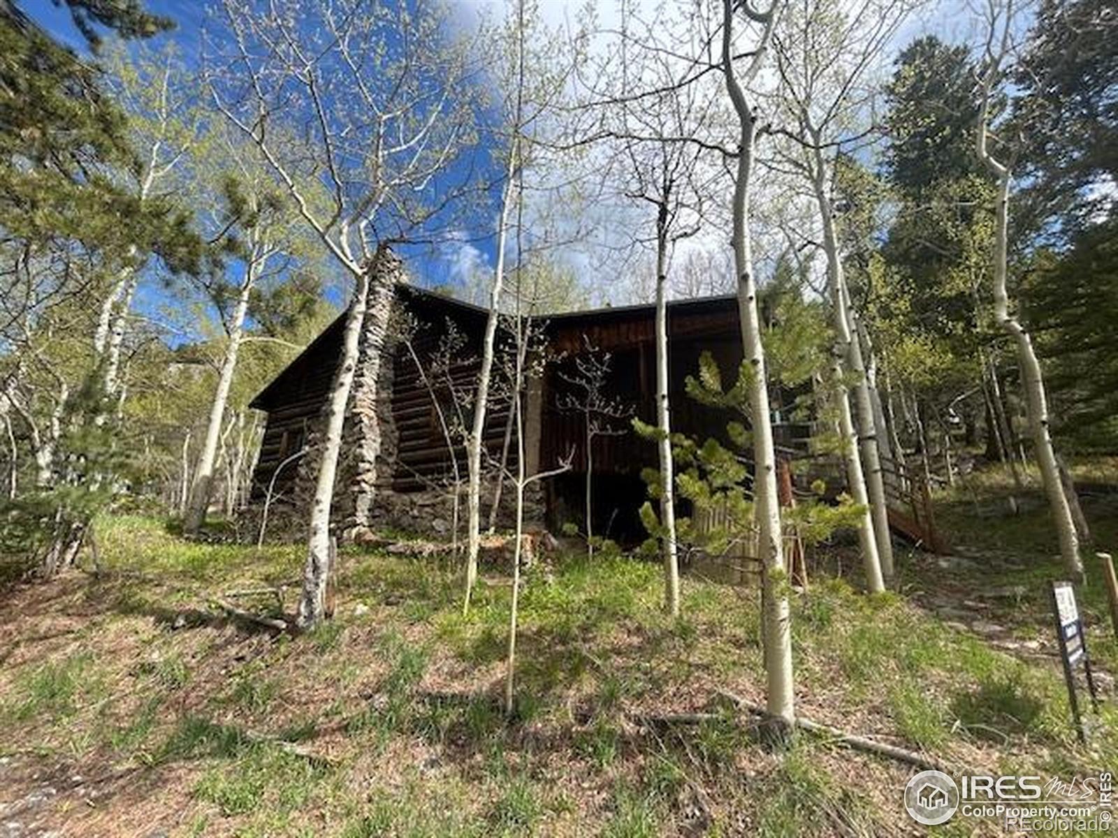 MLS Image #25 for 585  washington avenue,nederland, Colorado
