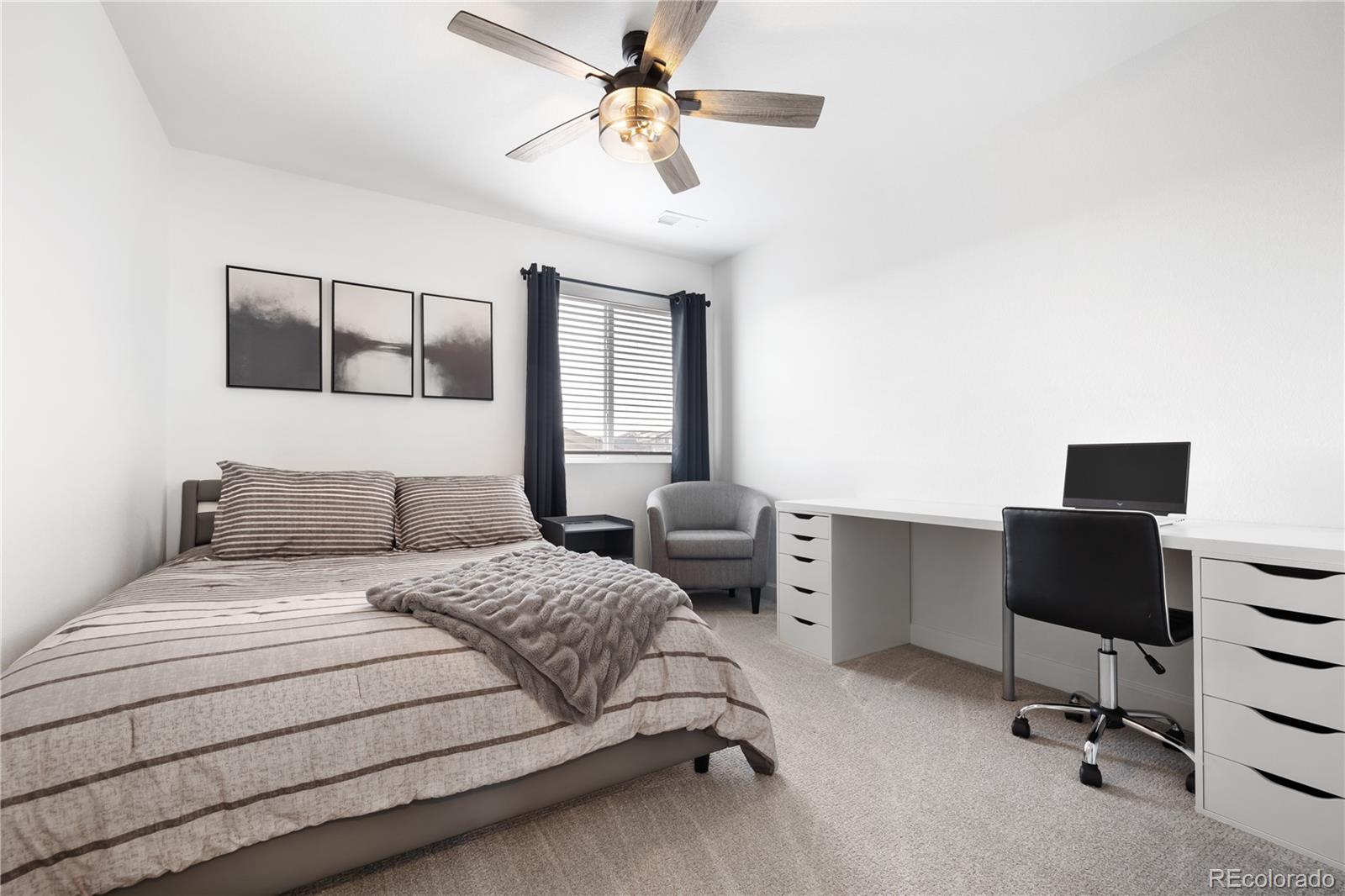 MLS Image #14 for 4739  gray wolf lane,castle rock, Colorado