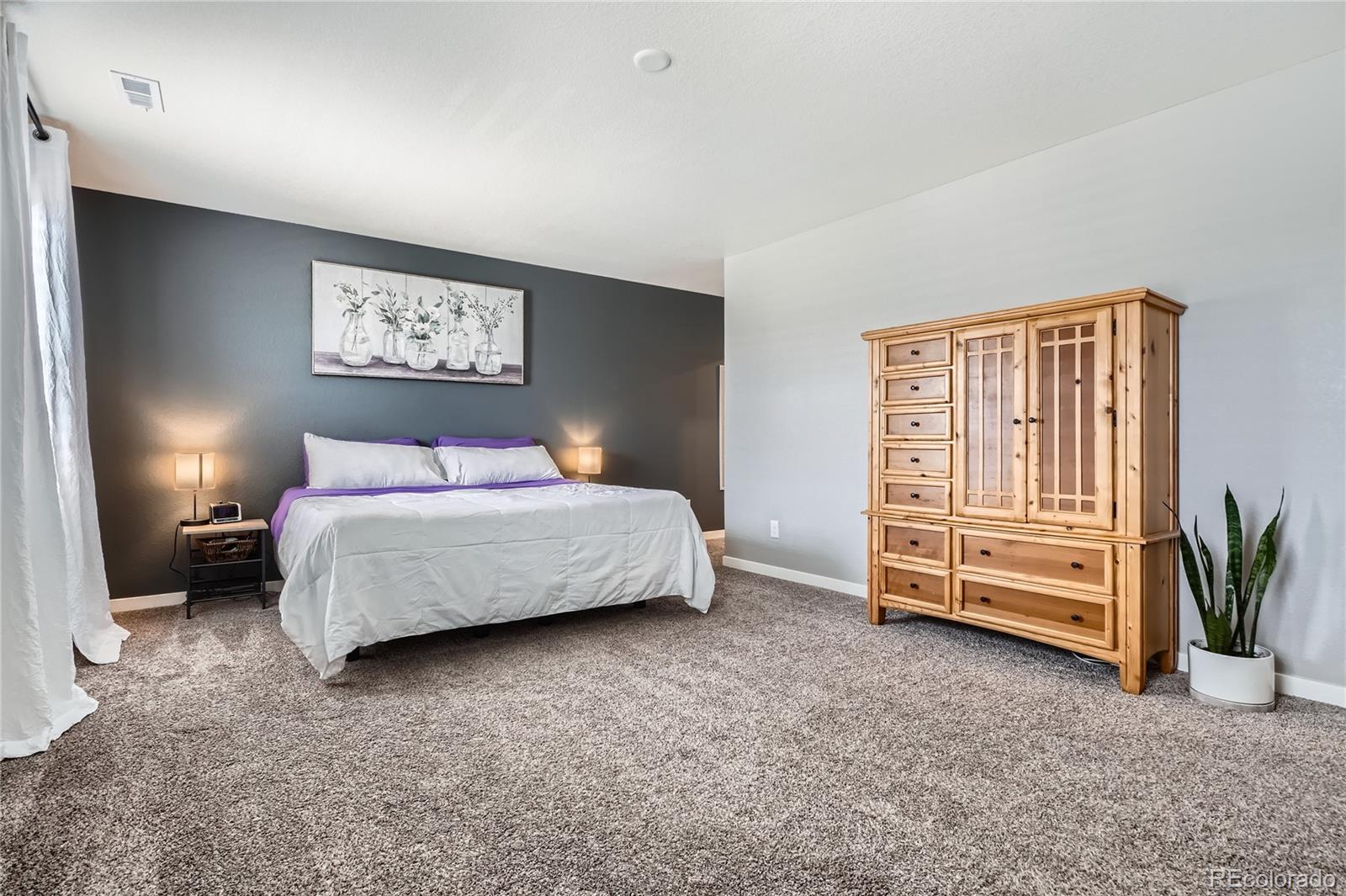 MLS Image #10 for 4781  rosette street,castle rock, Colorado