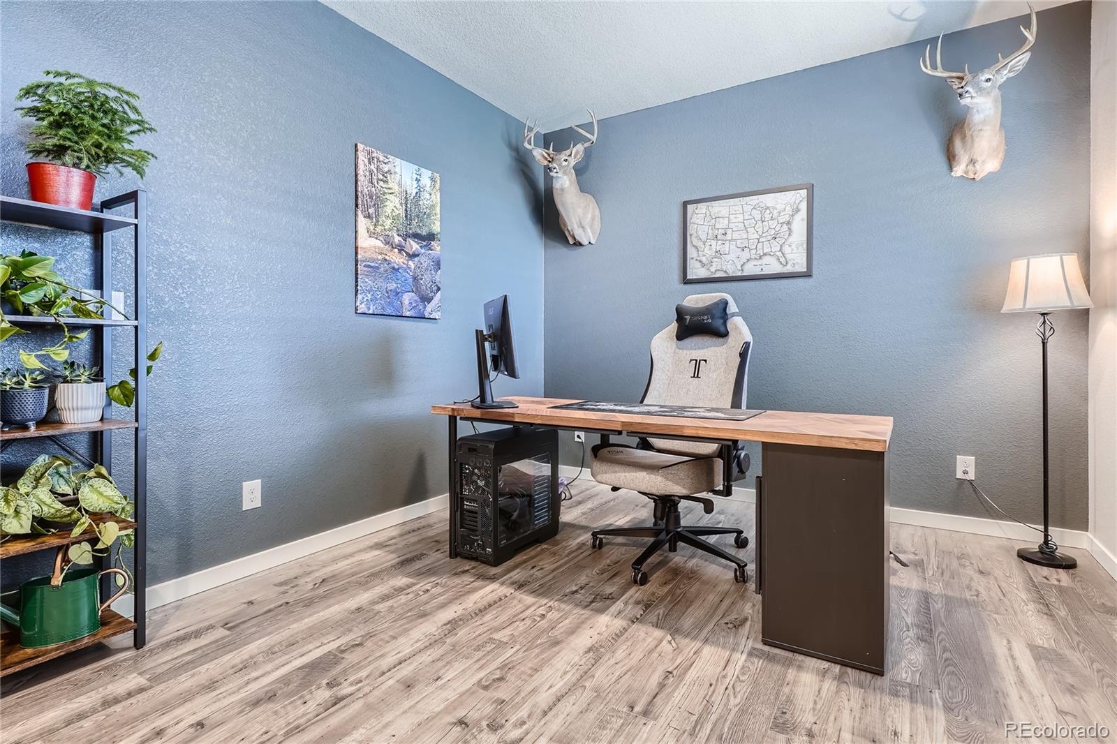 MLS Image #2 for 4781  rosette street,castle rock, Colorado
