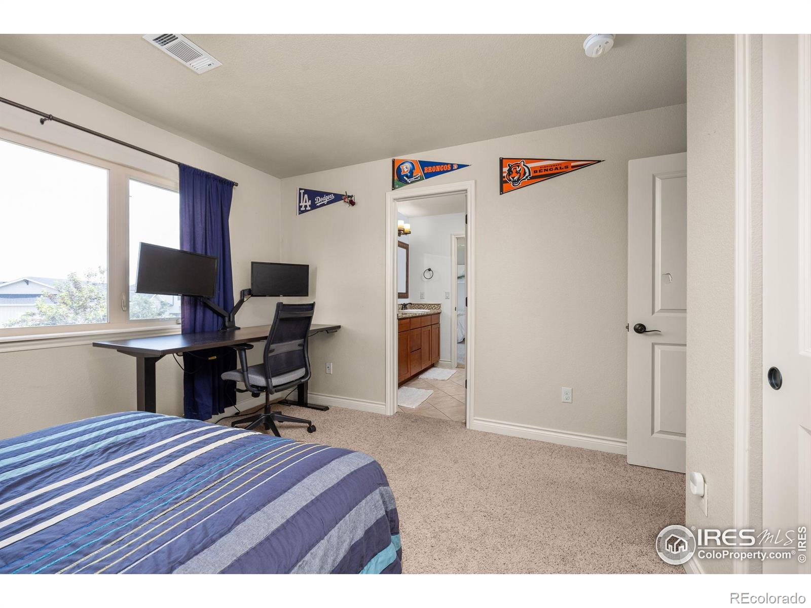 MLS Image #20 for 873  signal court,timnath, Colorado