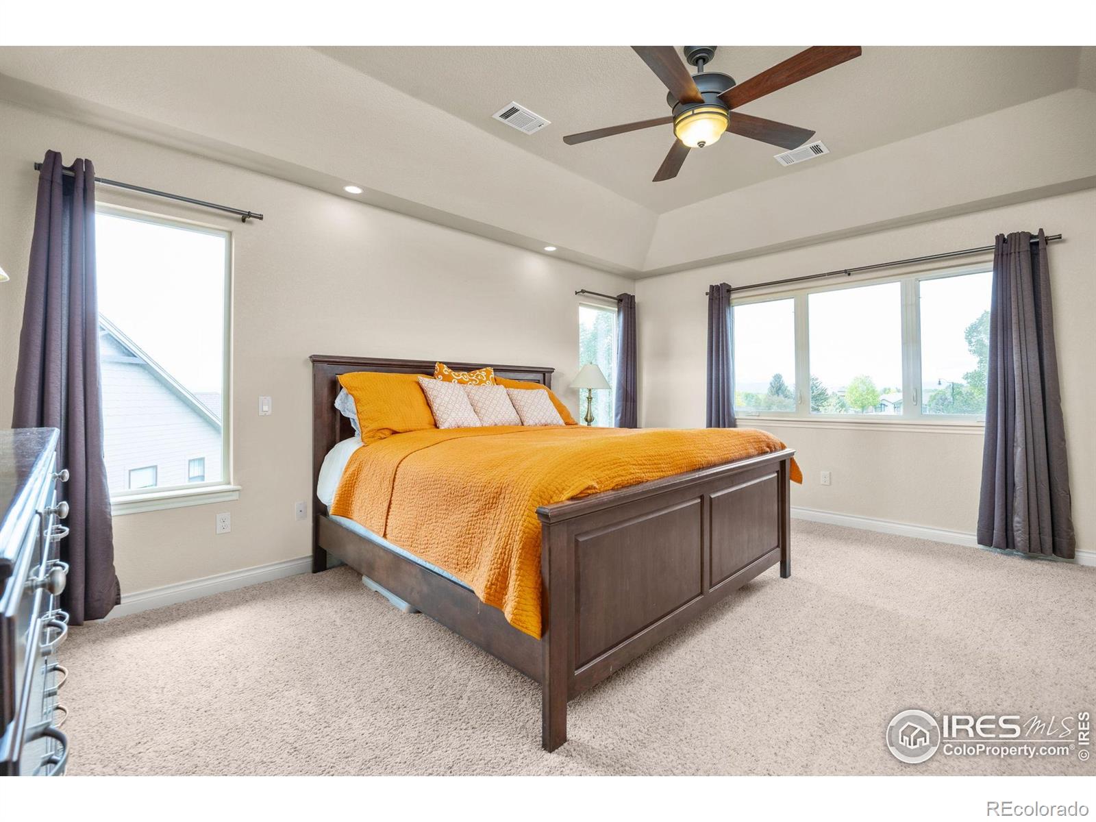 MLS Image #23 for 873  signal court,timnath, Colorado