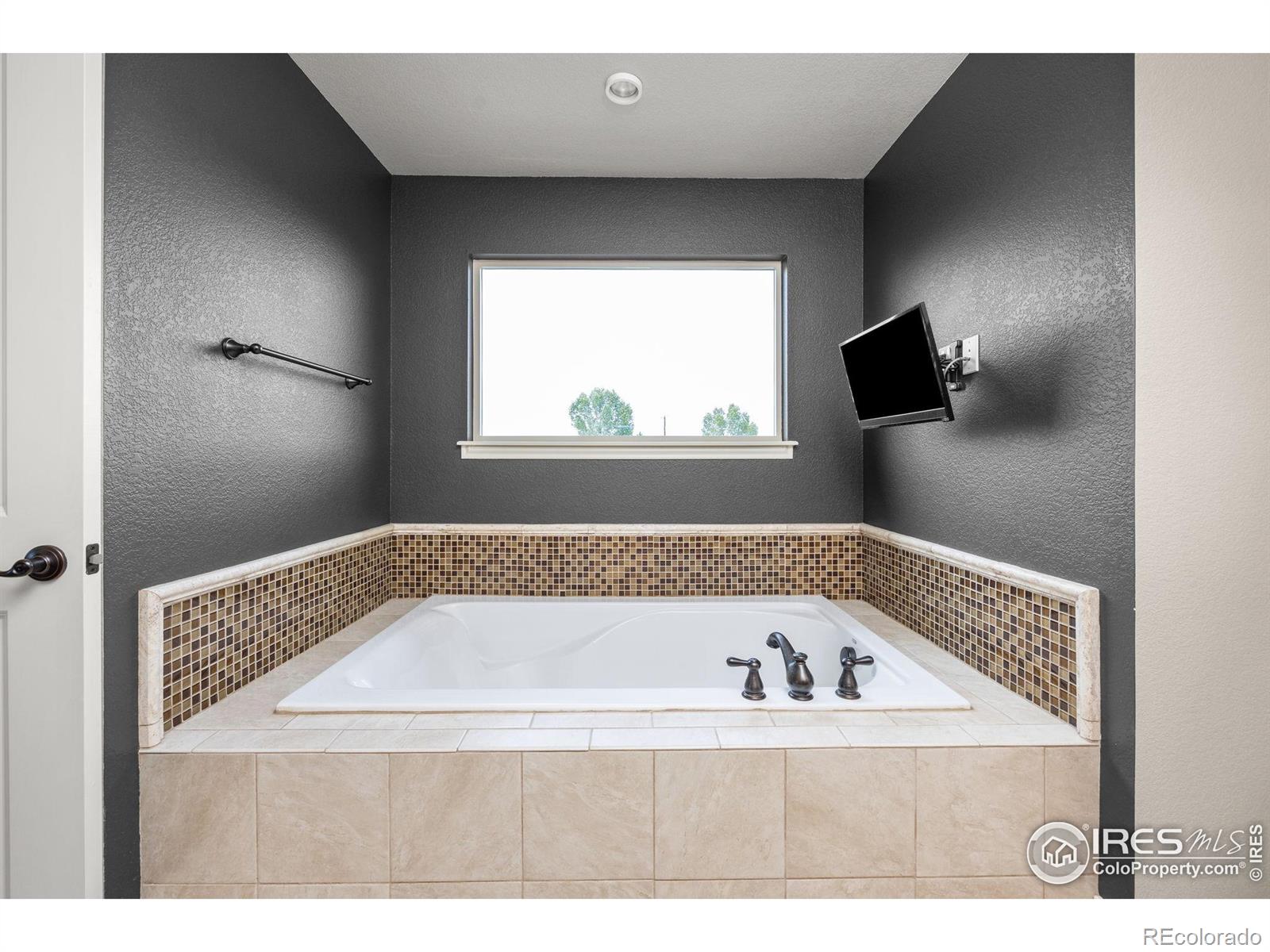MLS Image #27 for 873  signal court,timnath, Colorado