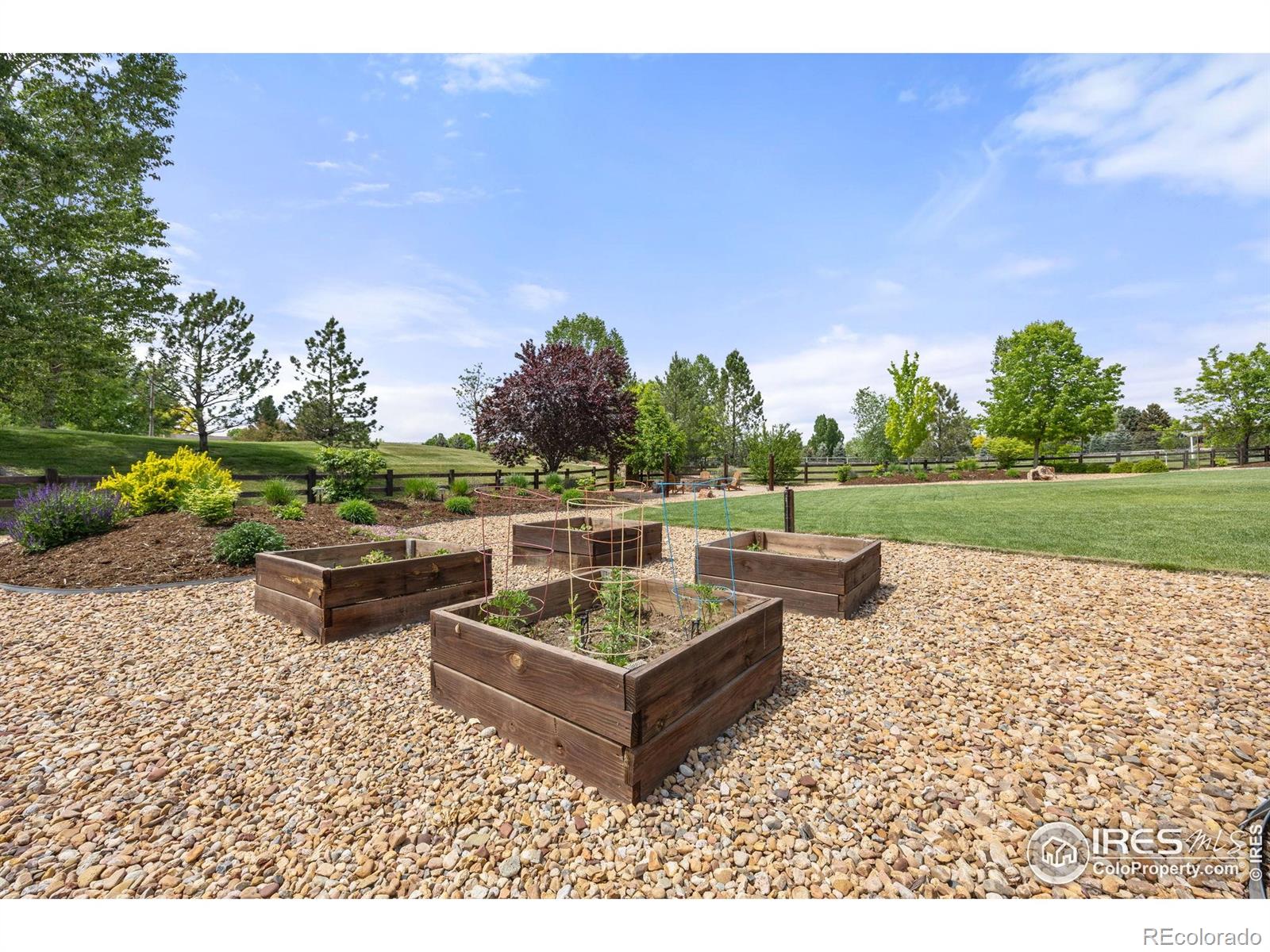 MLS Image #34 for 873  signal court,timnath, Colorado