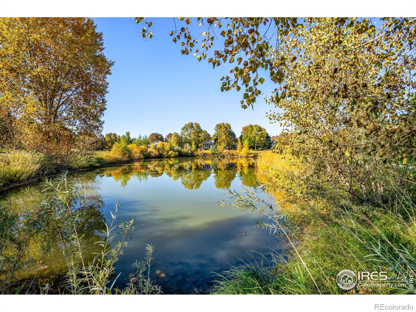 MLS Image #13 for 5220  boardwalk drive,fort collins, Colorado