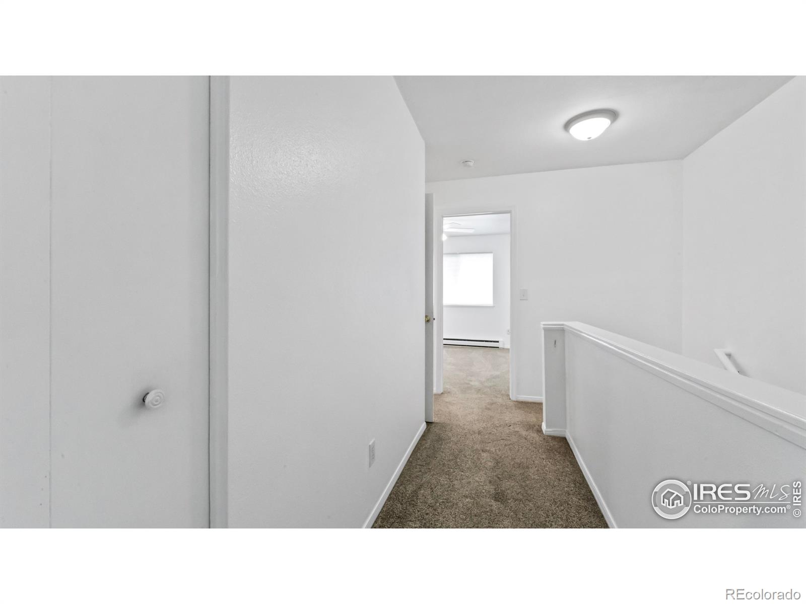 MLS Image #11 for 3219  sumac street,fort collins, Colorado
