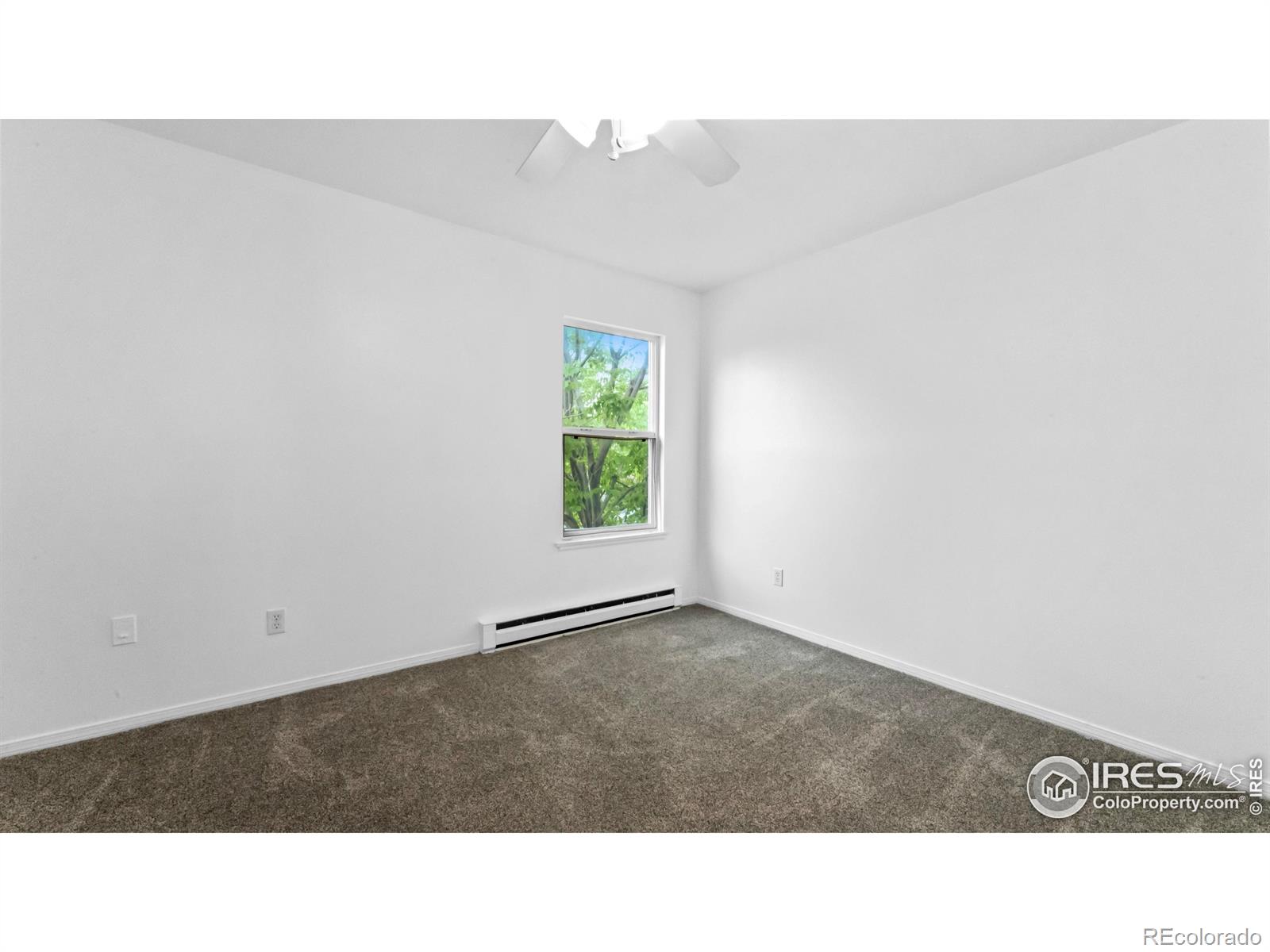 MLS Image #12 for 3219  sumac street,fort collins, Colorado