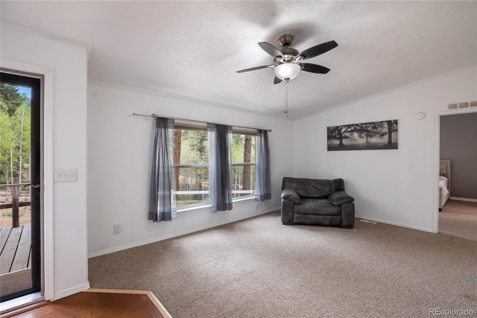MLS Image #10 for 840  obsidian drive,florissant, Colorado