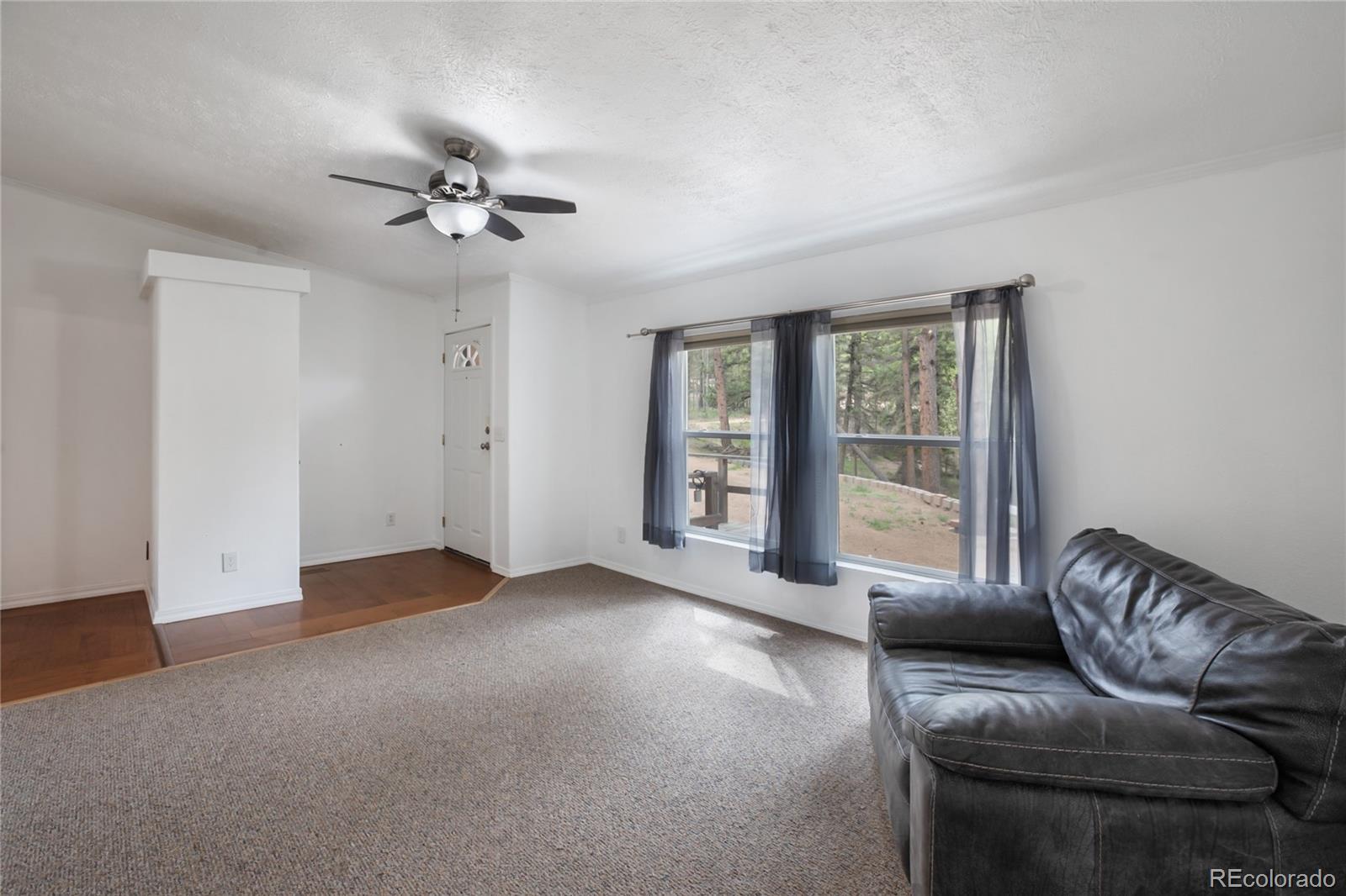 MLS Image #11 for 840  obsidian drive,florissant, Colorado