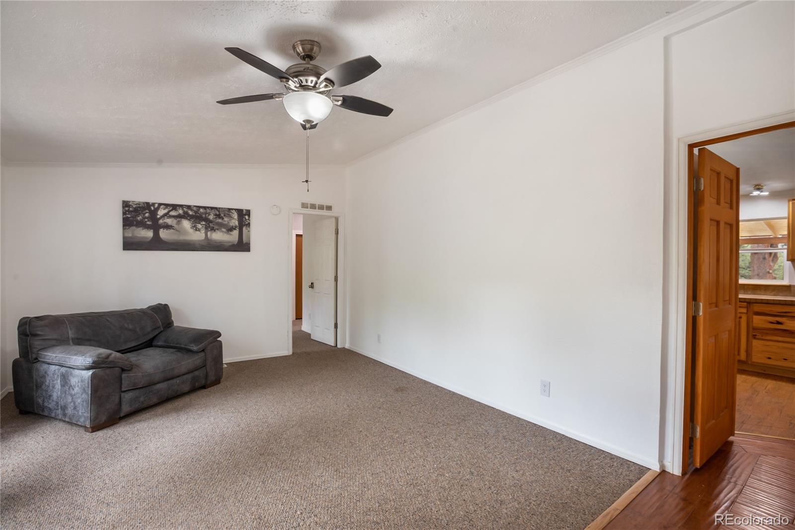 MLS Image #12 for 840  obsidian drive,florissant, Colorado
