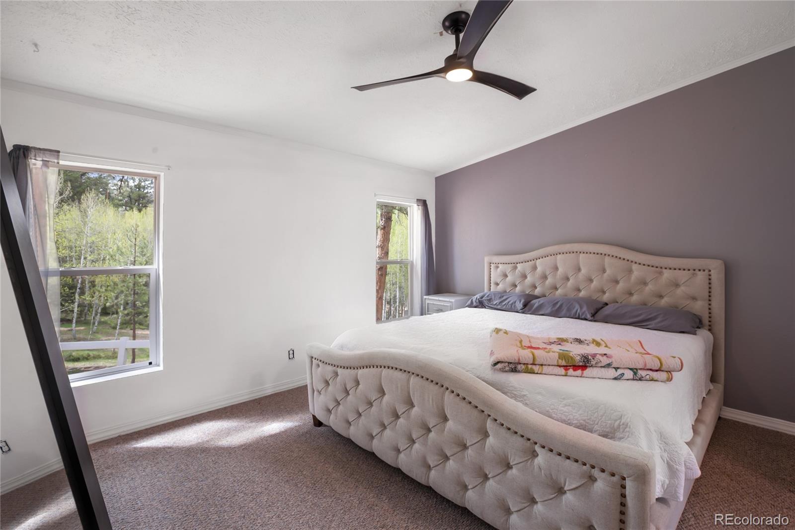 MLS Image #13 for 840  obsidian drive,florissant, Colorado
