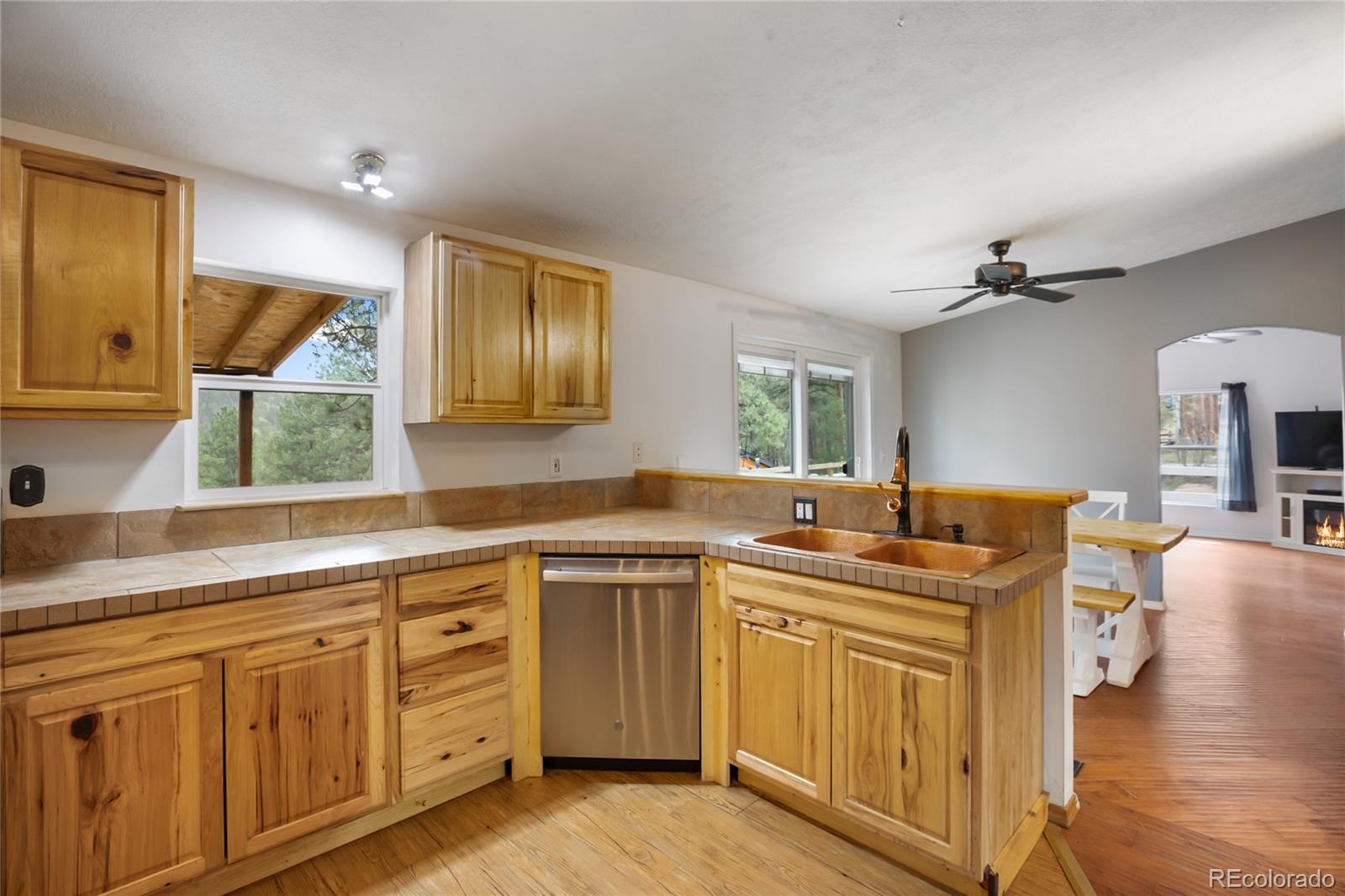 MLS Image #21 for 840  obsidian drive,florissant, Colorado