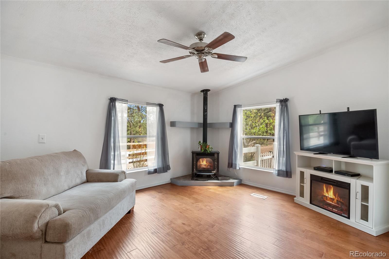 MLS Image #26 for 840  obsidian drive,florissant, Colorado